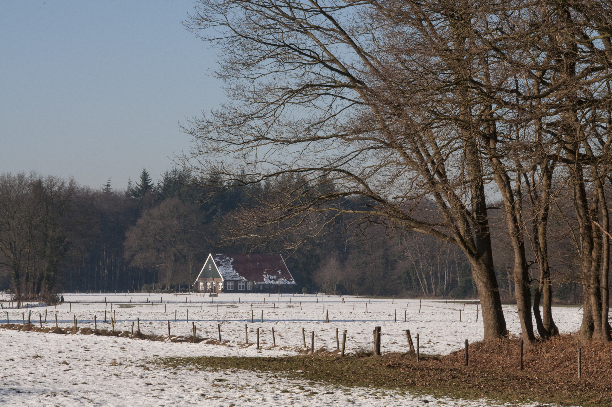 Nikon AF-S Micro-Nikkor 105mm F2.8G IF-ED VR sample photo. Dsc photography