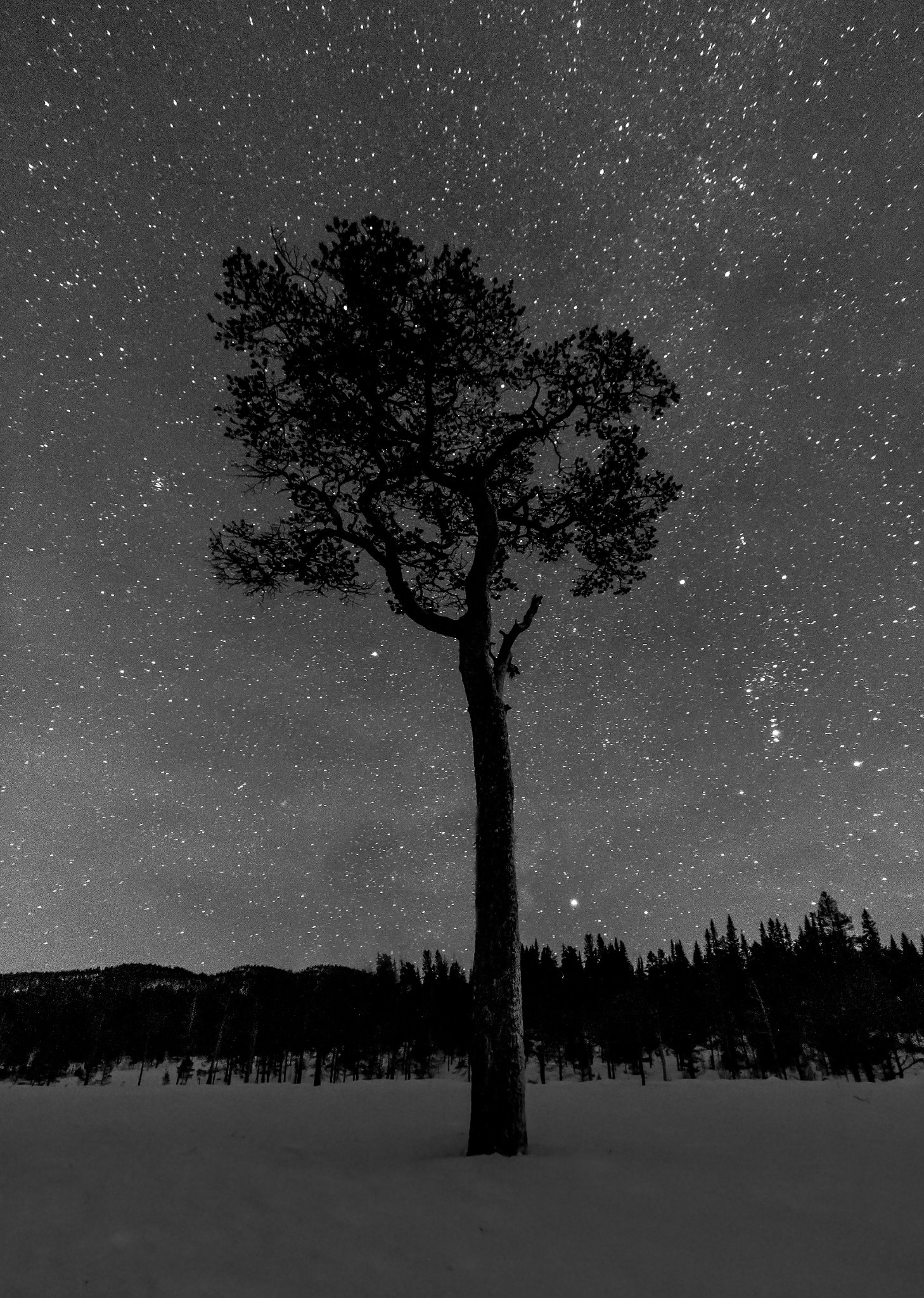 Sigma 10-20mm F4-5.6 EX DC HSM sample photo. Stargazing photography