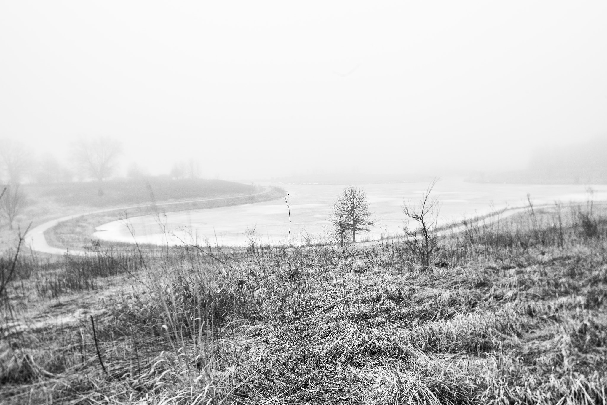 Canon TS-E 24.0mm f/3.5 L II sample photo. Bend photography