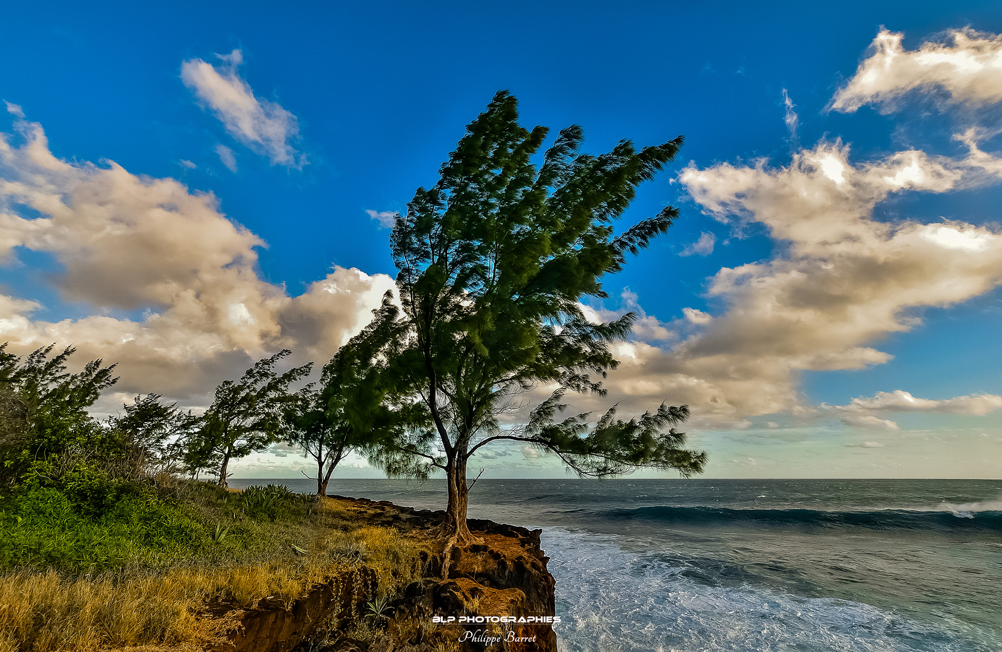 Nikon D300 sample photo. Littoral de saint-joseph photography