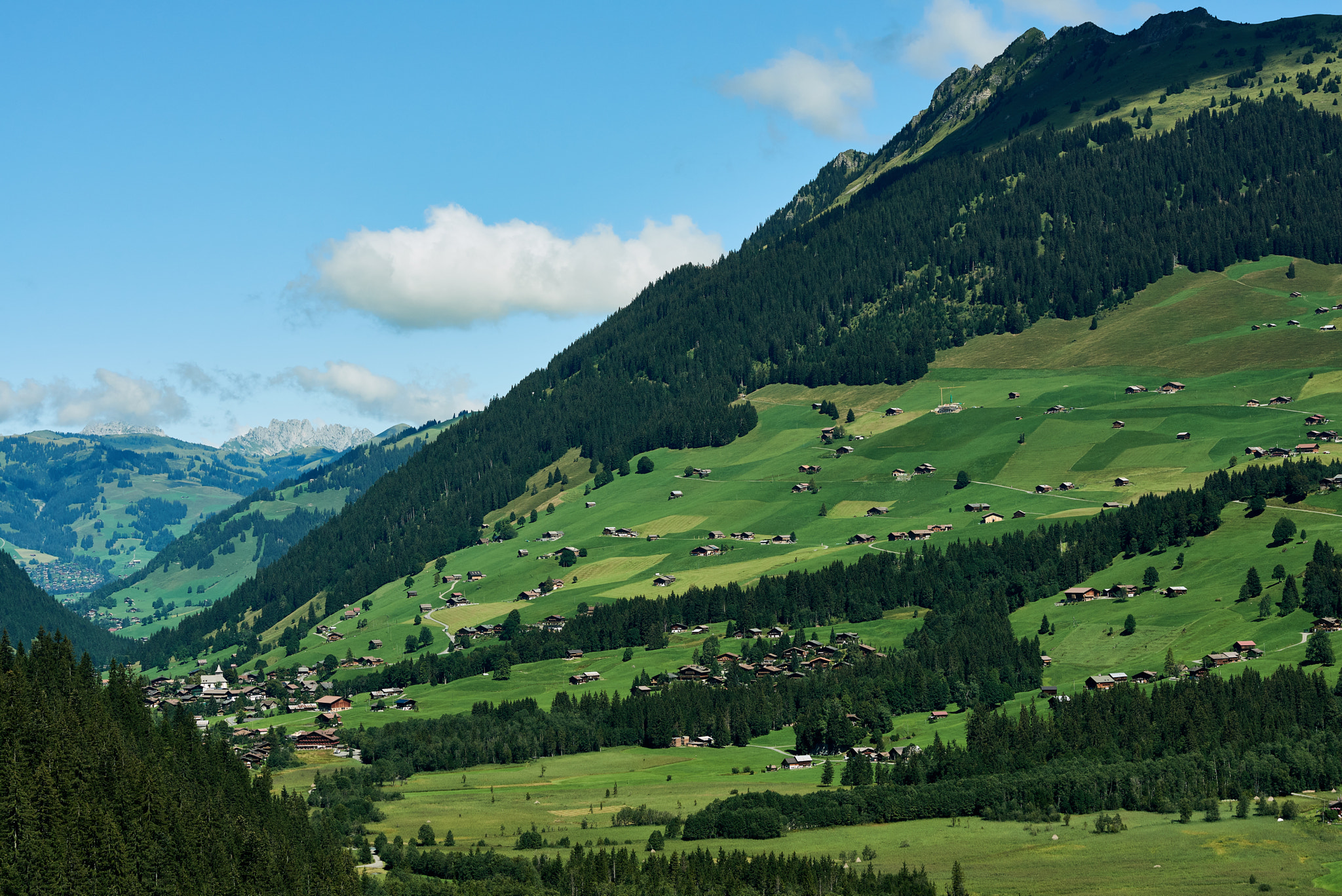 Nikon D750 + Nikon AF-S Nikkor 85mm F1.8G sample photo. Château d'oex, switzerland photography