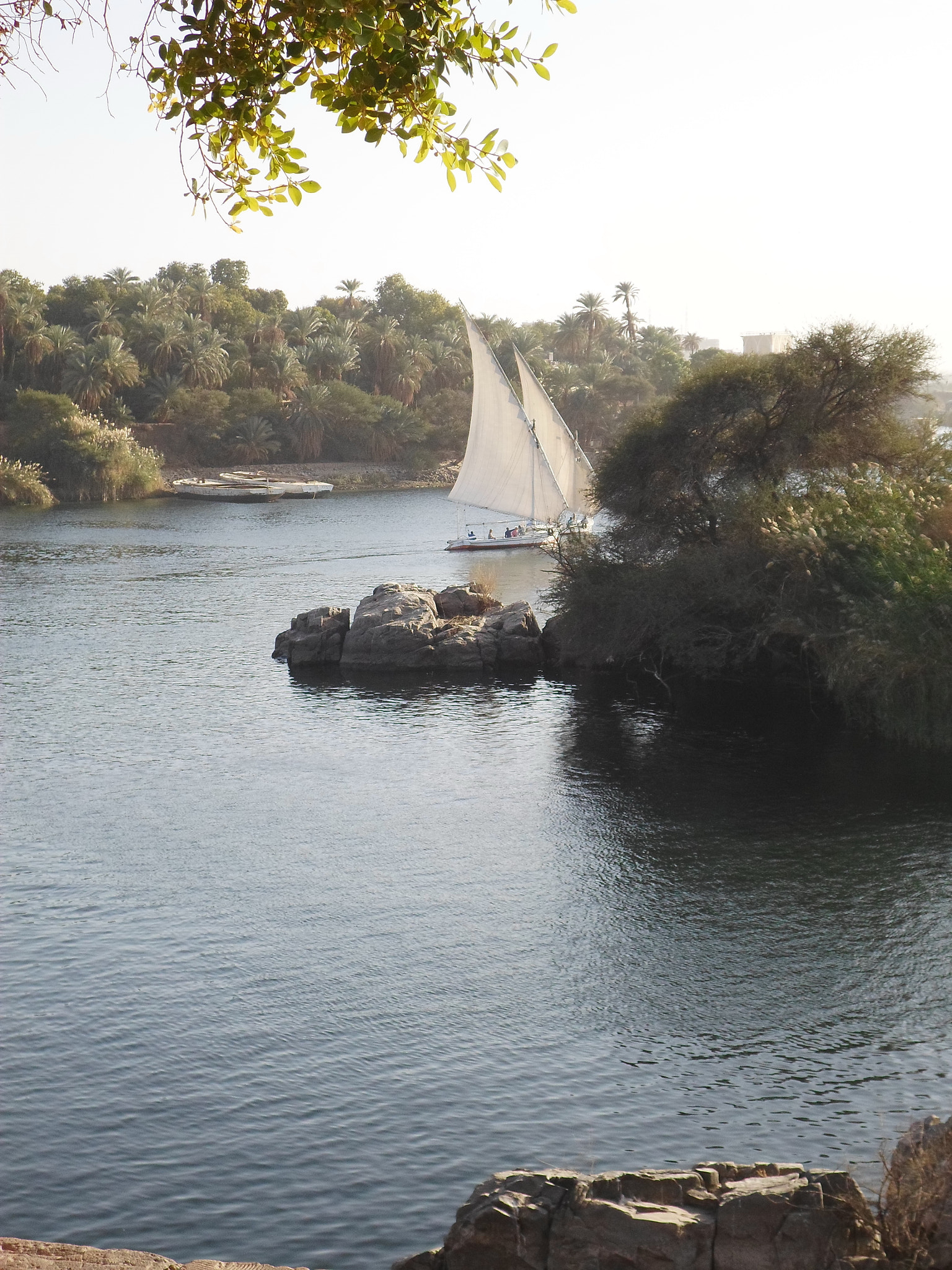 Samsung ST66 / ST68 sample photo. Sailboat, river nile photography