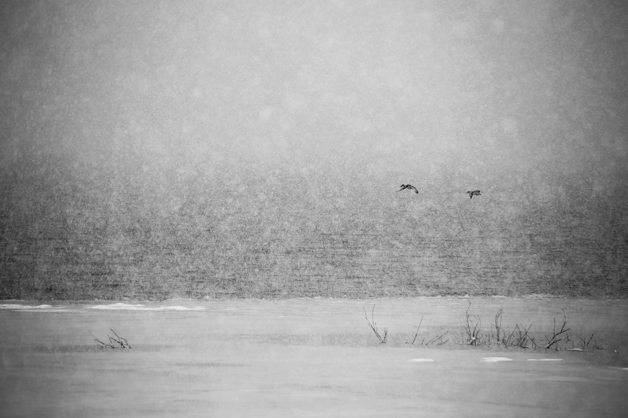 Tamron SP 35mm F1.8 Di VC USD sample photo. Snow photography