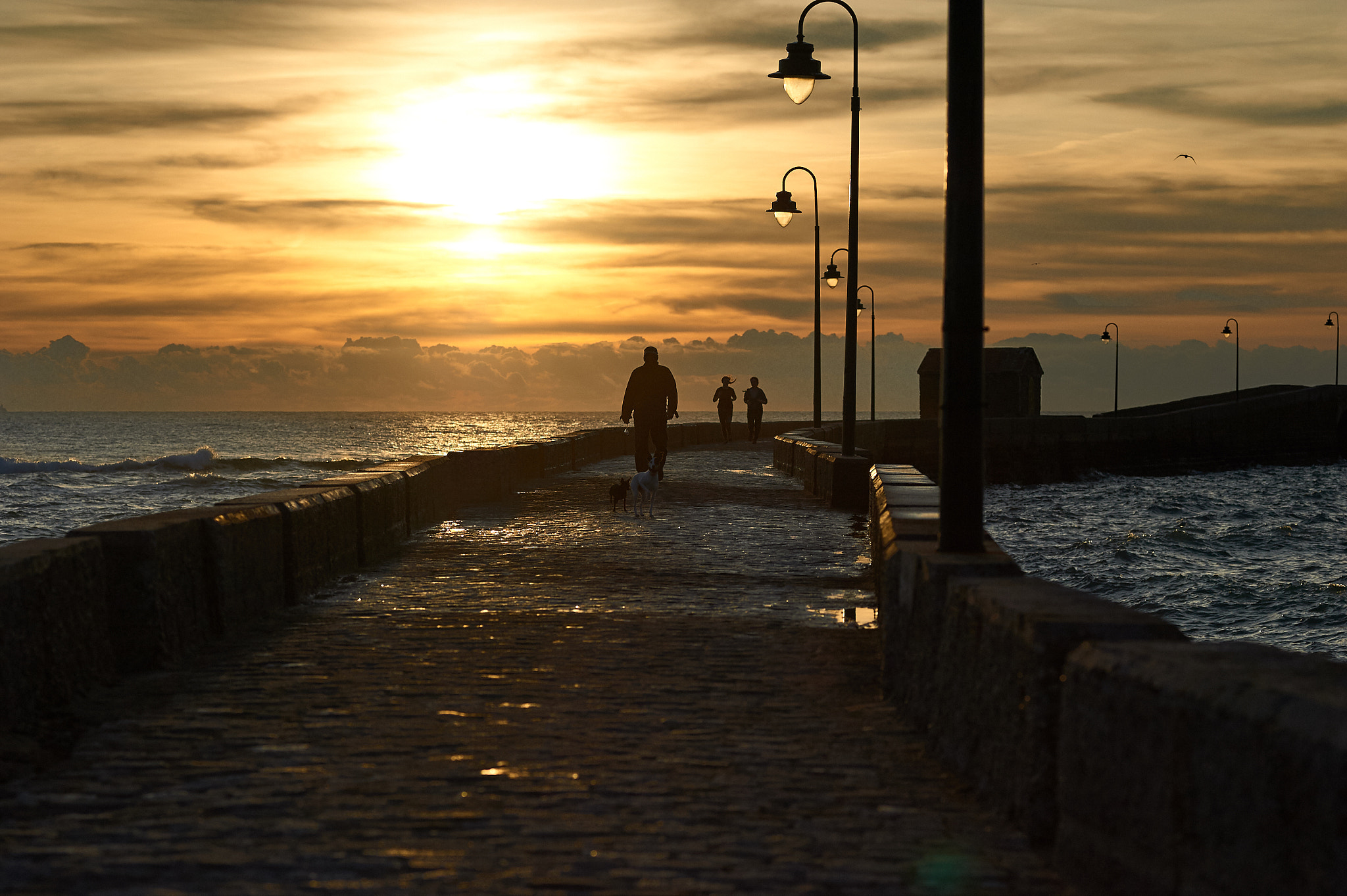 ZEISS Makro-Planar T* 100mm F2 sample photo. Spain photography