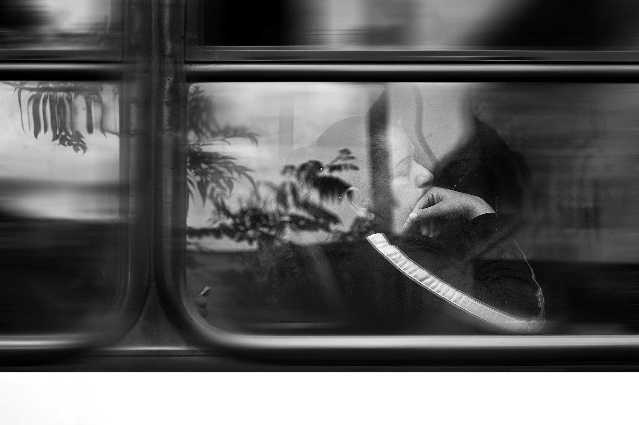 Canon EF 50mm F2.5 Macro sample photo. By bus ii photography