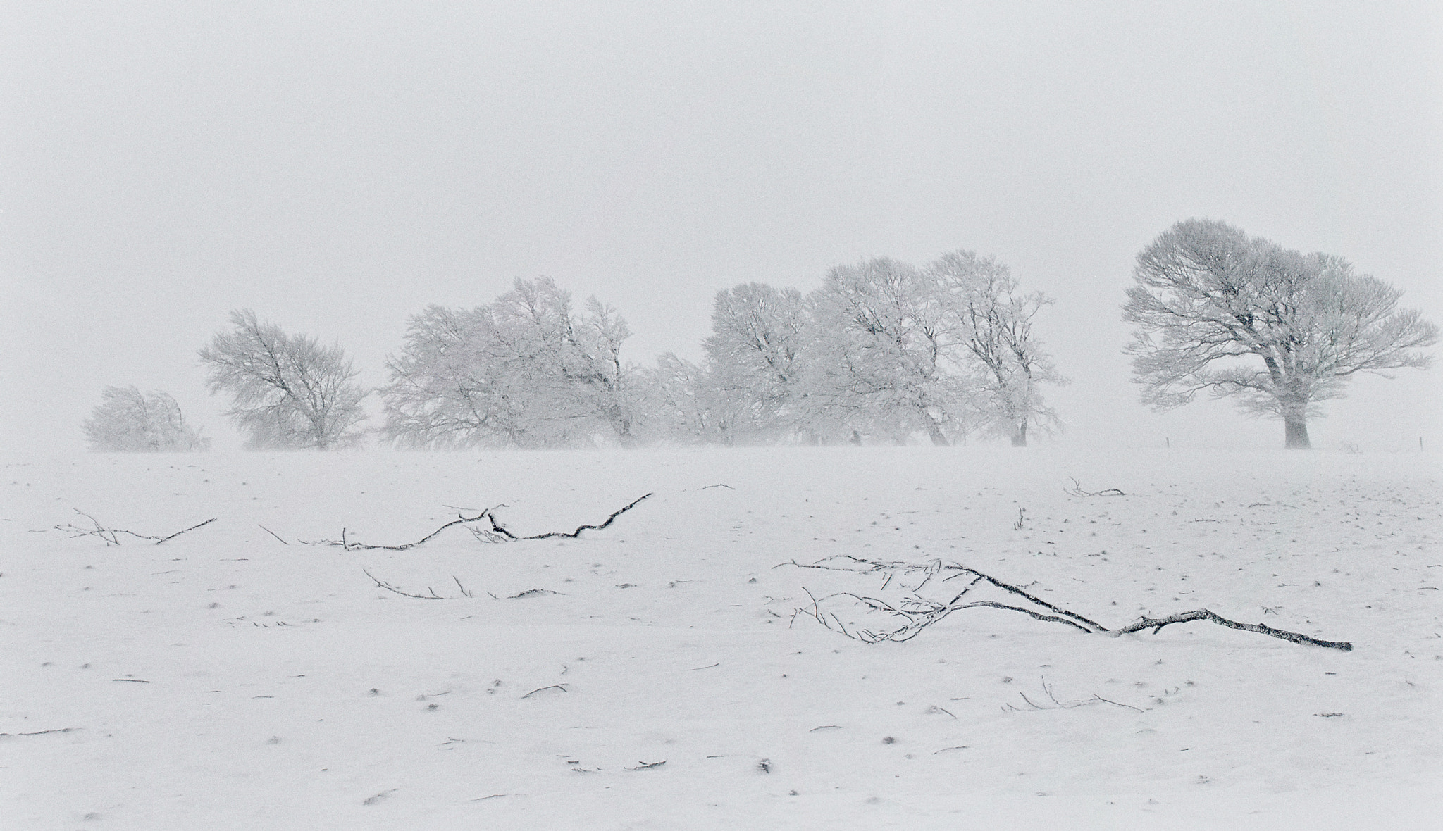 Canon EF 50mm F2.5 Macro sample photo. Snowstorm photography