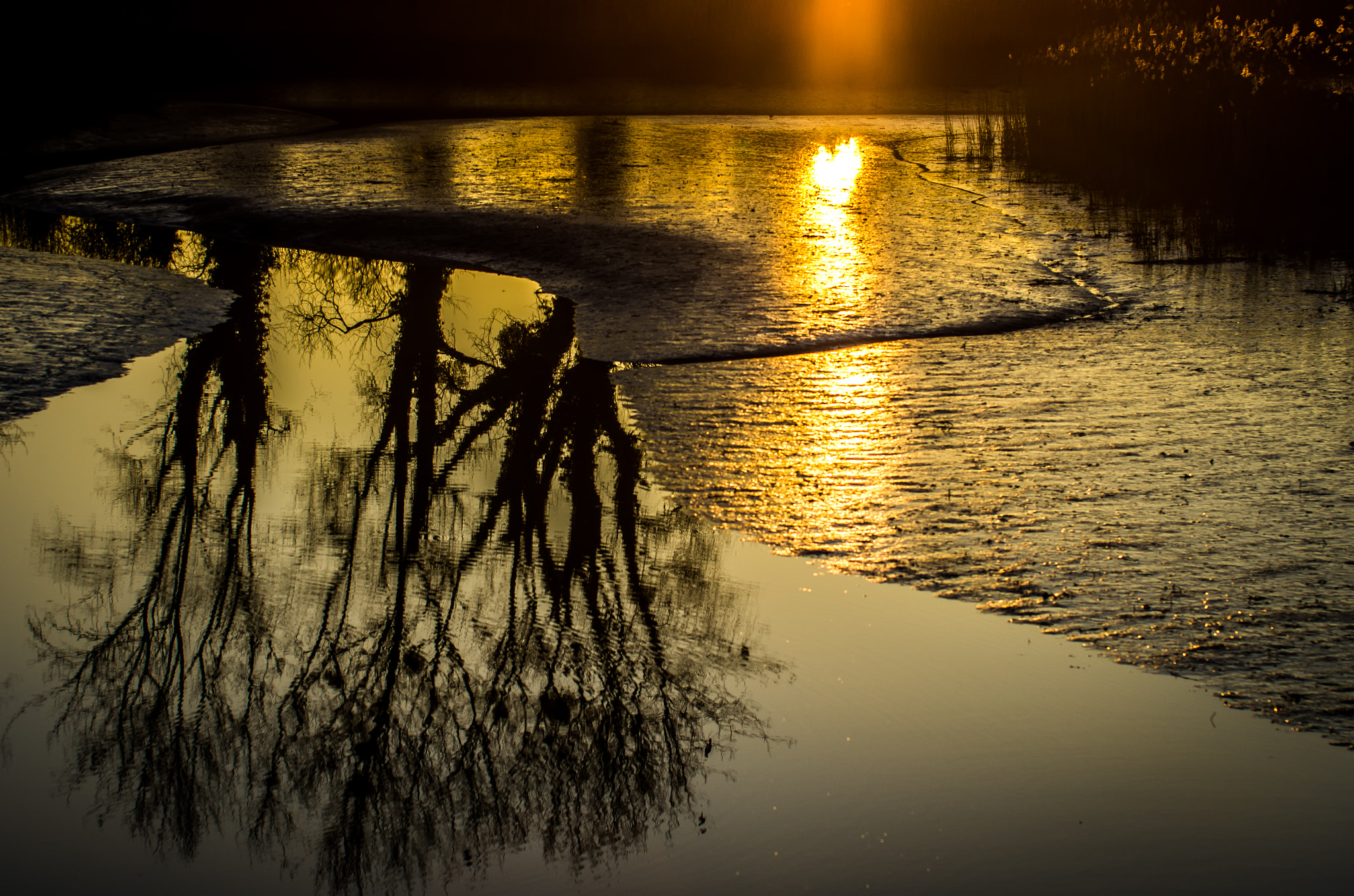 Pentax K-5 sample photo. Reflets sur la seulles (normandie) photography