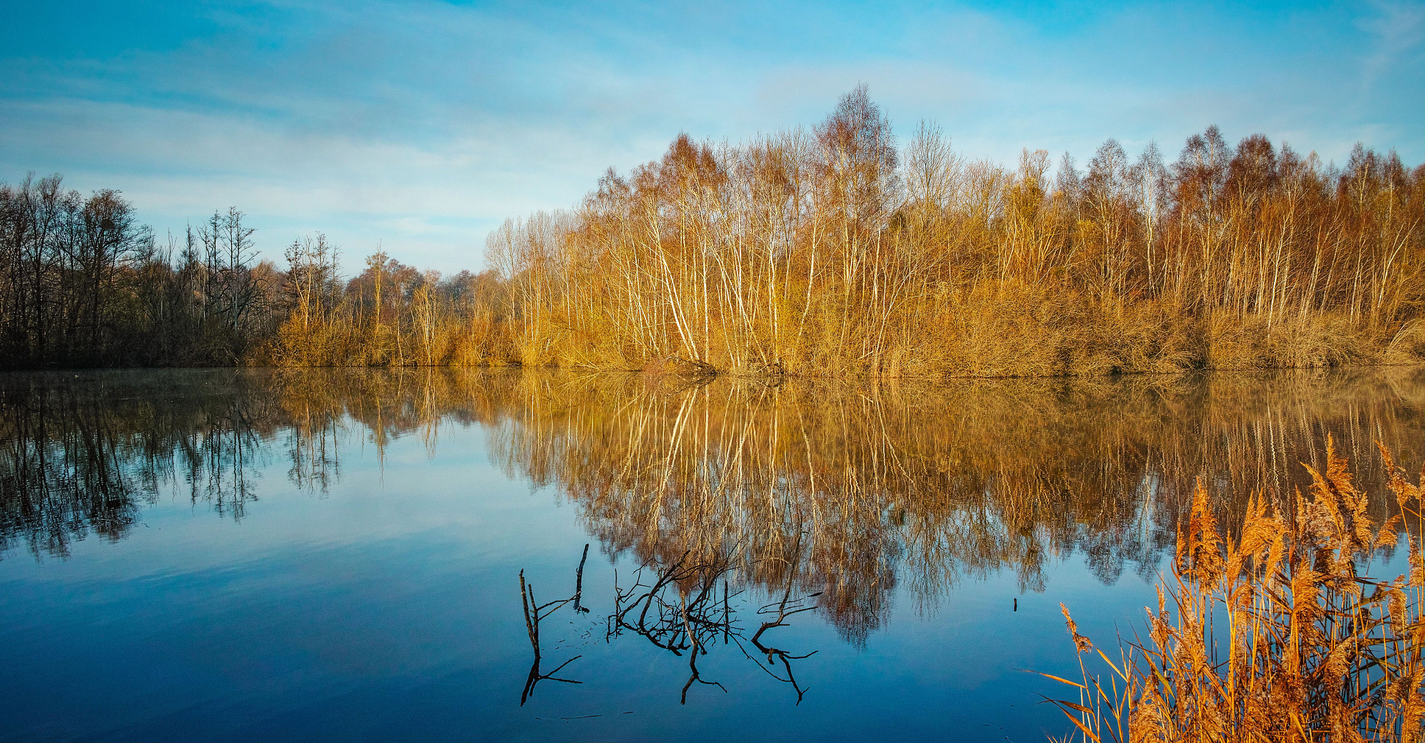 Sigma dp1 Quattro + 1006 sample photo. Sunrise at the marshland of Épisy photography