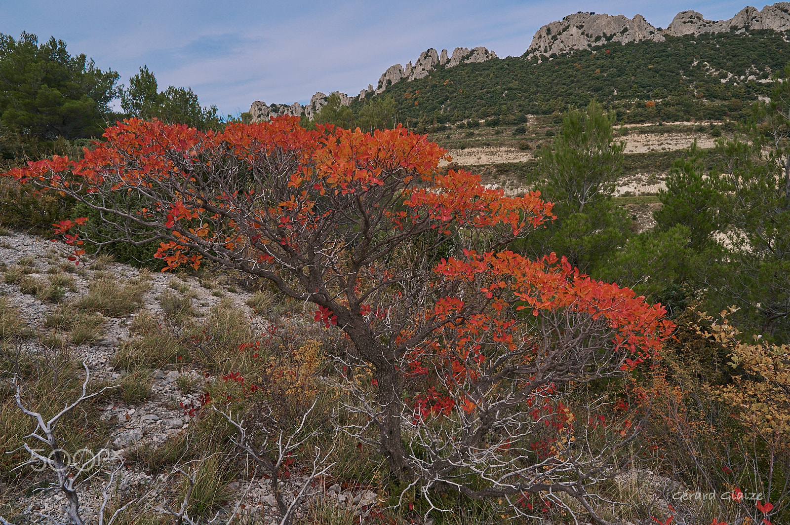 Nikon AF Nikkor 20mm F2.8D sample photo. Les dentelles de montmirail photography