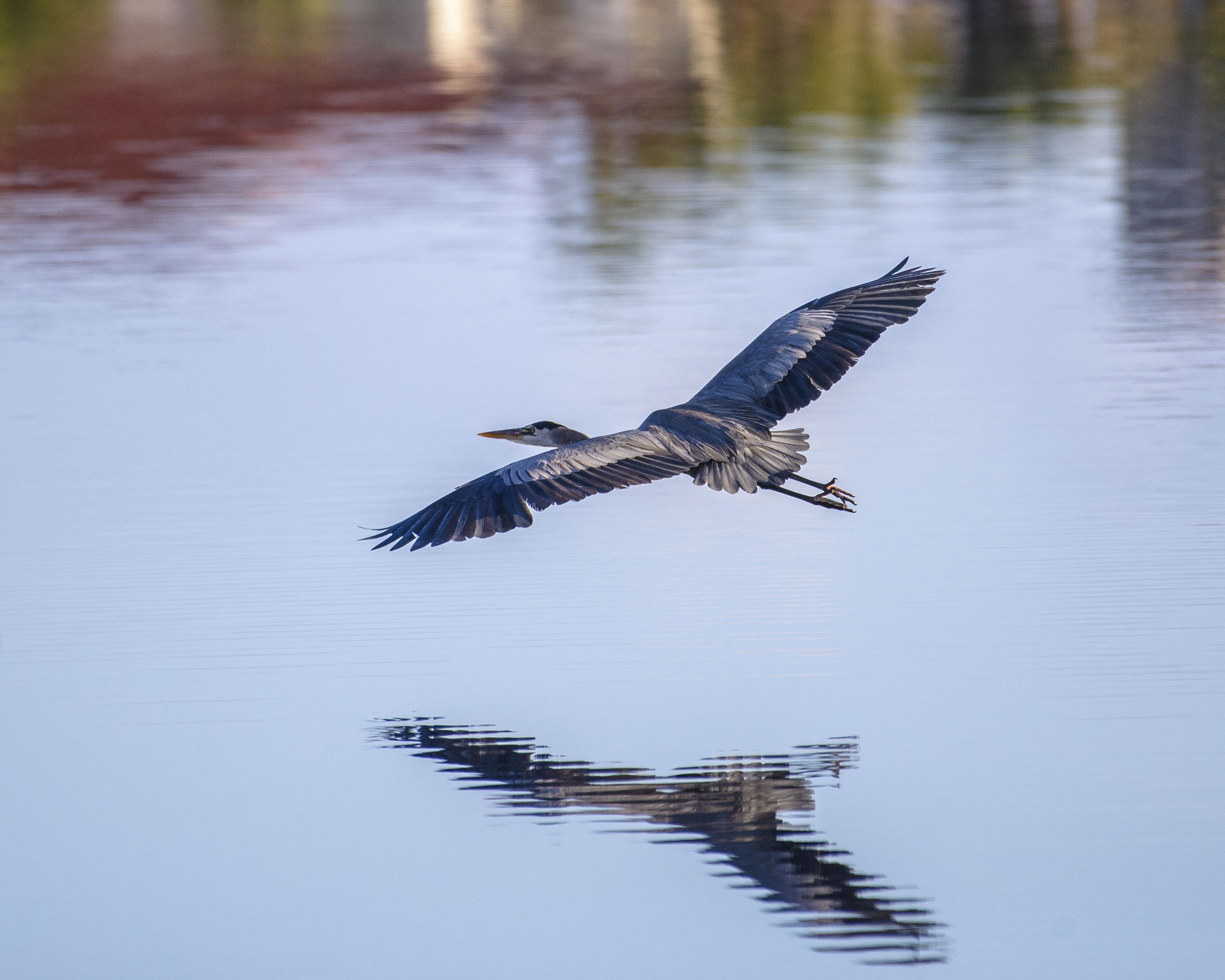Nikon AF-S Nikkor 200-500mm F5.6E ED VR sample photo. Early morning calm photography