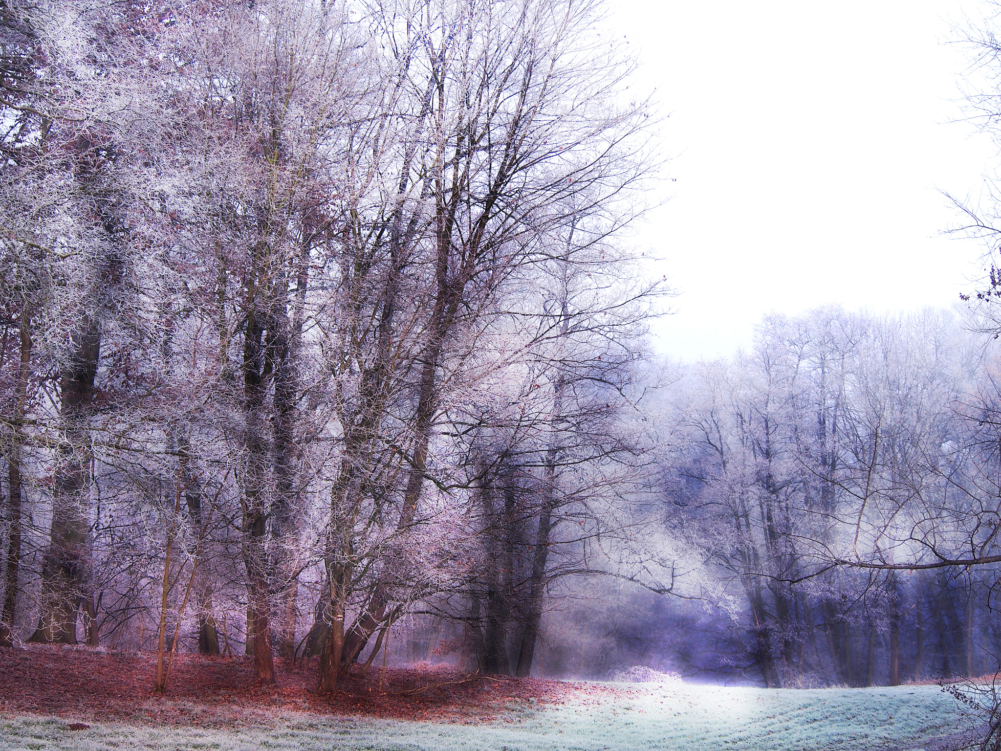 Olympus PEN E-PL5 sample photo. Winter coat photography