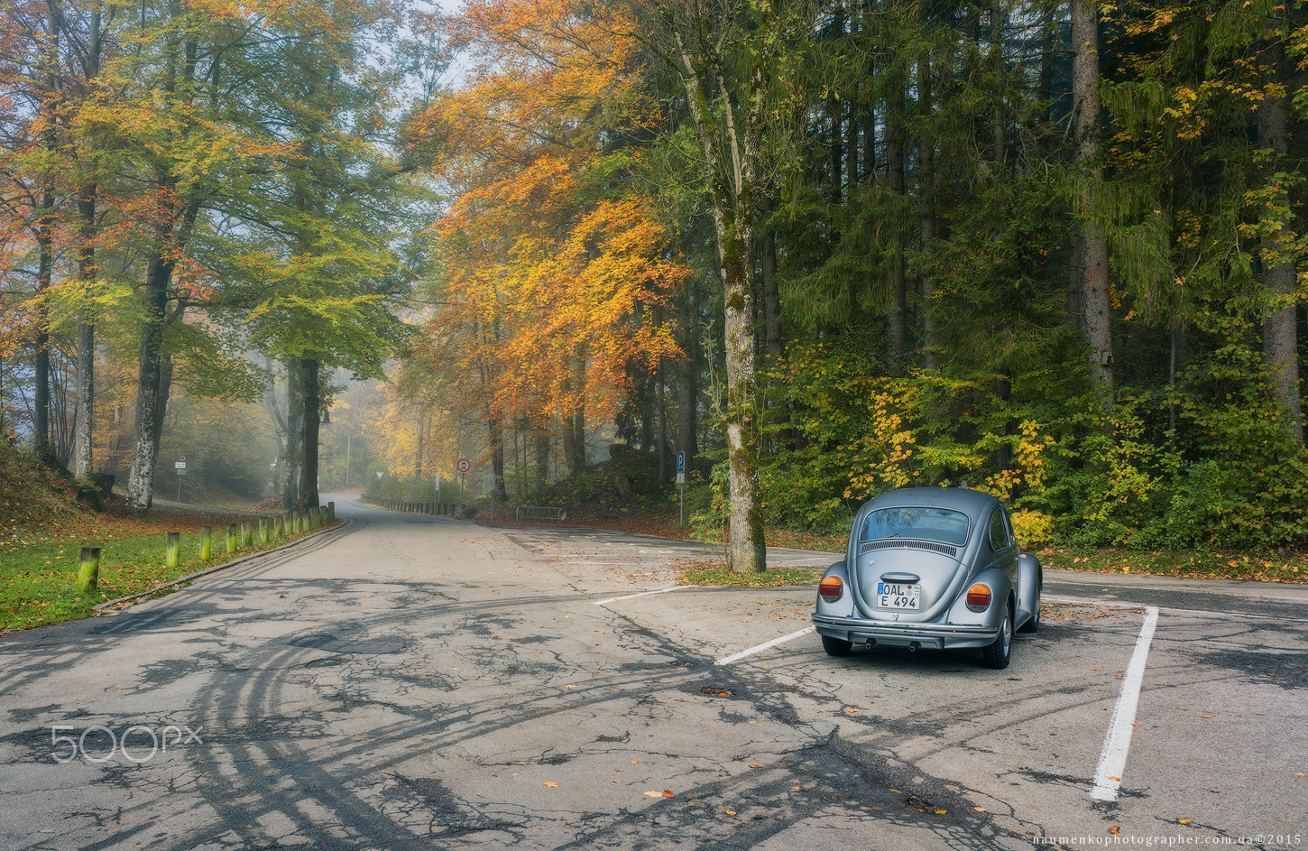 Sony a7R sample photo. Germany. fussen. autumn morning in park freibad am mittersee photography