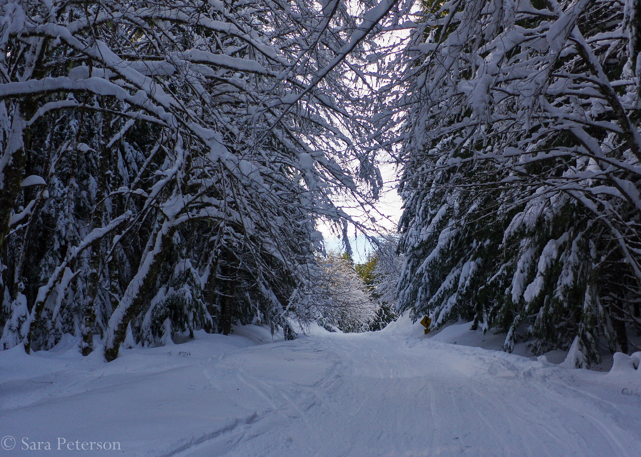 Pentax K-3 sample photo. Snowy trail photography