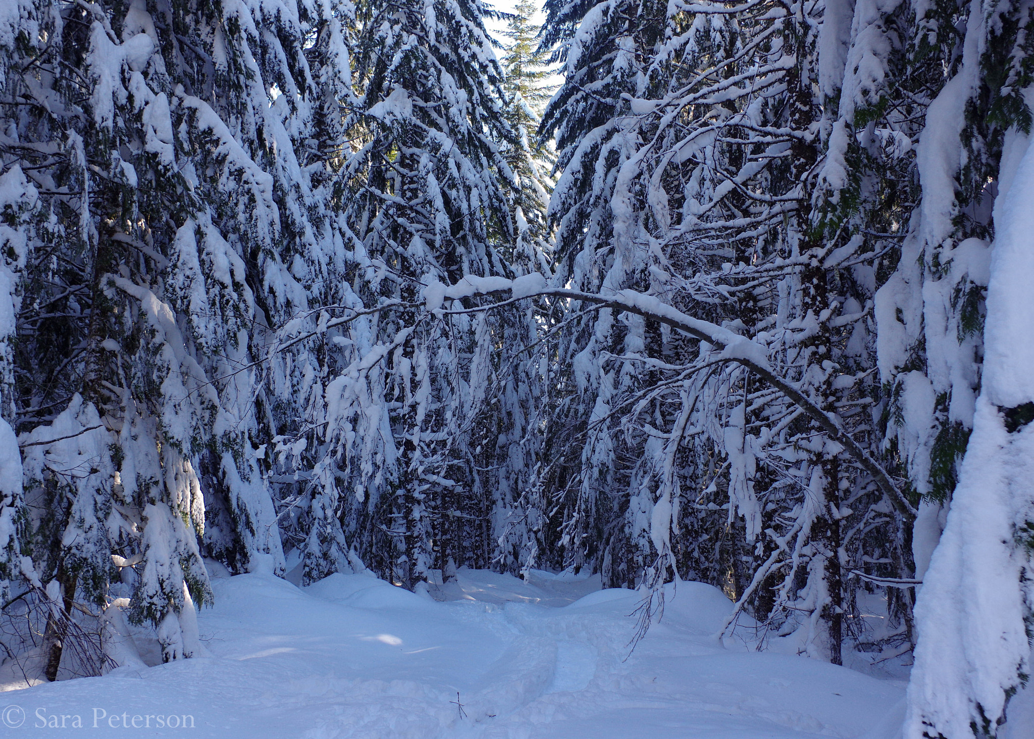 Pentax K-3 sample photo. Snowy arch photography