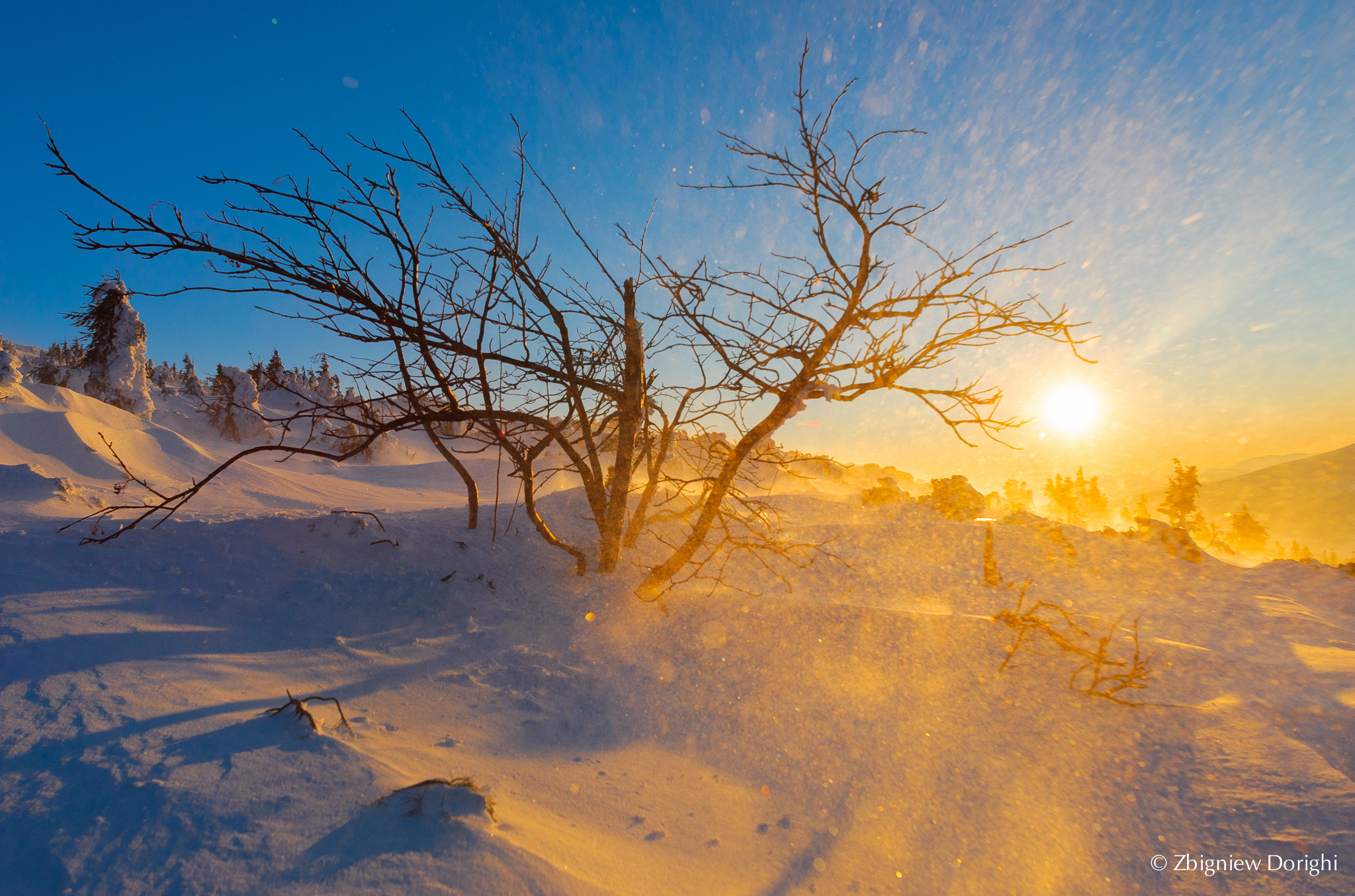 Nikon D700 + Sigma 24mm F1.8 EX DG Aspherical Macro sample photo. Snowstorm with golden dust :) photography