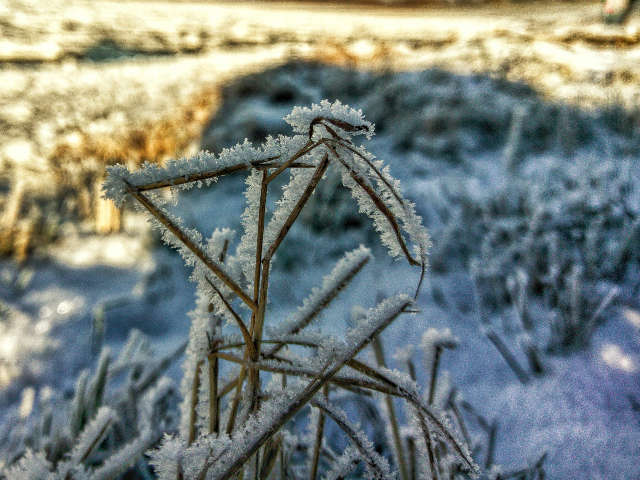 HTC M10 sample photo