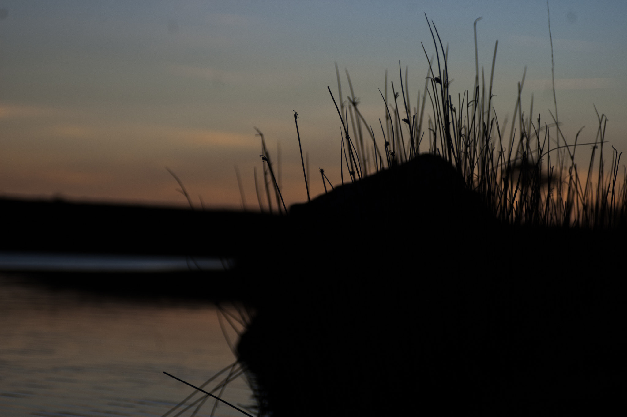 AF Zoom-Nikkor 28-105mm f/3.5-4.5D IF sample photo. Long grass by the water photography