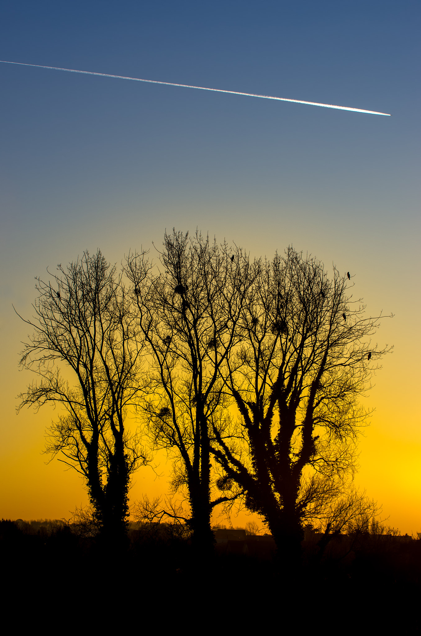 Pentax K-5 sample photo. Coucher de soleil (courseulles sur mer) photography