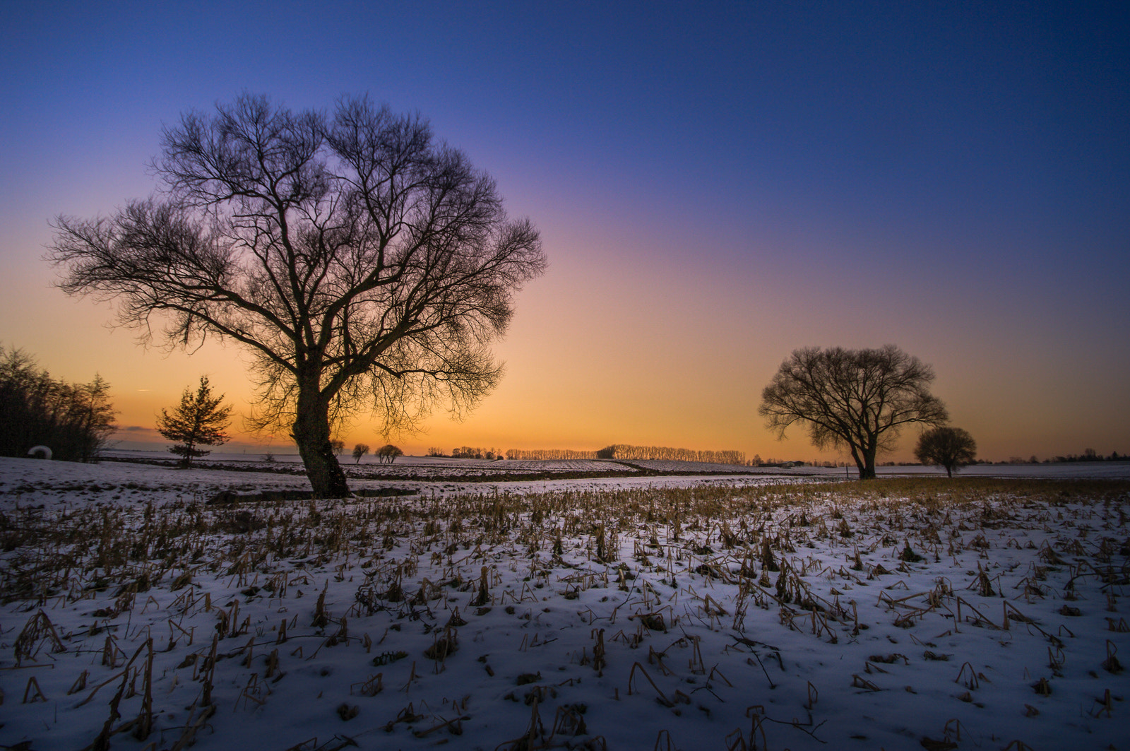 Pentax K20D sample photo. Ice cold but winter warm photography