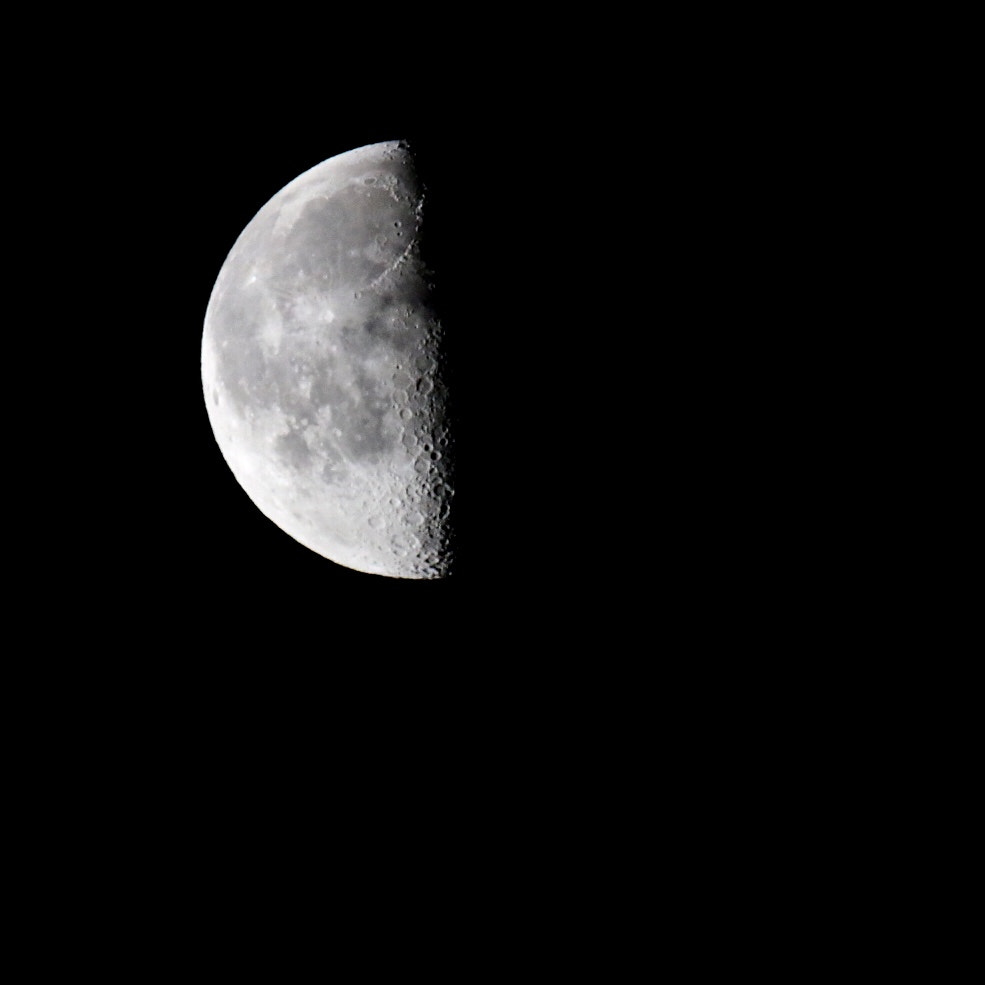 Canon EOS 70D + Sigma 150mm f/2.8 EX DG OS HSM APO Macro sample photo. Half a moon photography
