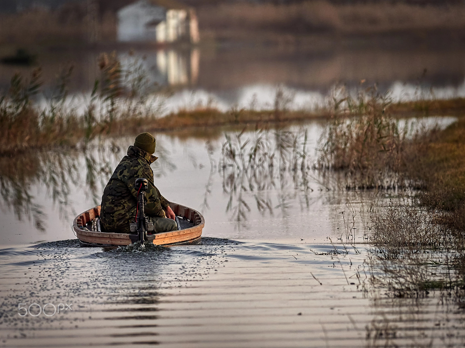 Olympus OM-D E-M1 Mark II + OLYMPUS M.300mm F4.0 sample photo. Hunting season photography