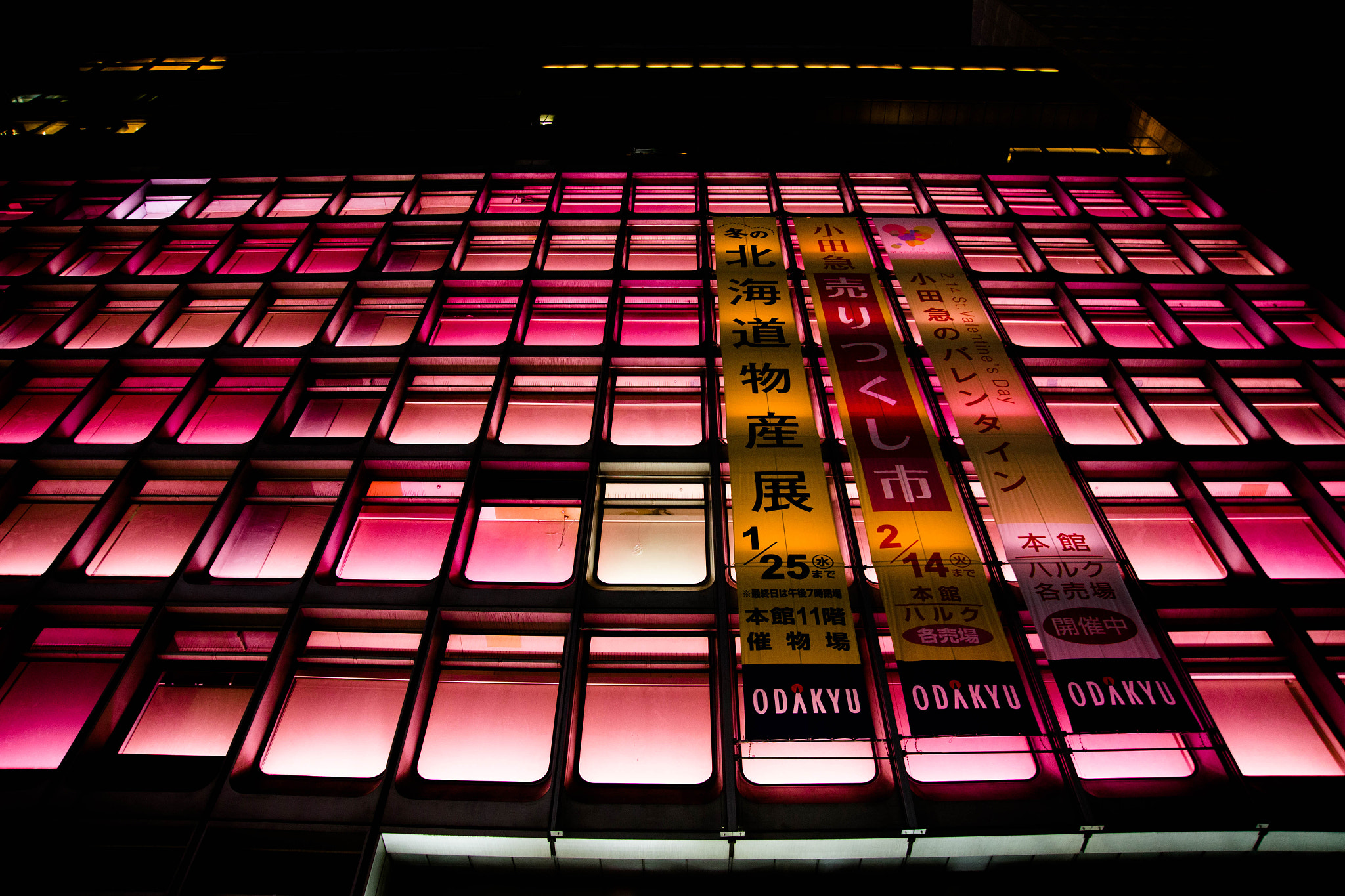 Sigma 24-105mm f/4 DG OS HSM | A sample photo. Odakyu dep't shinjuku tokyo photography