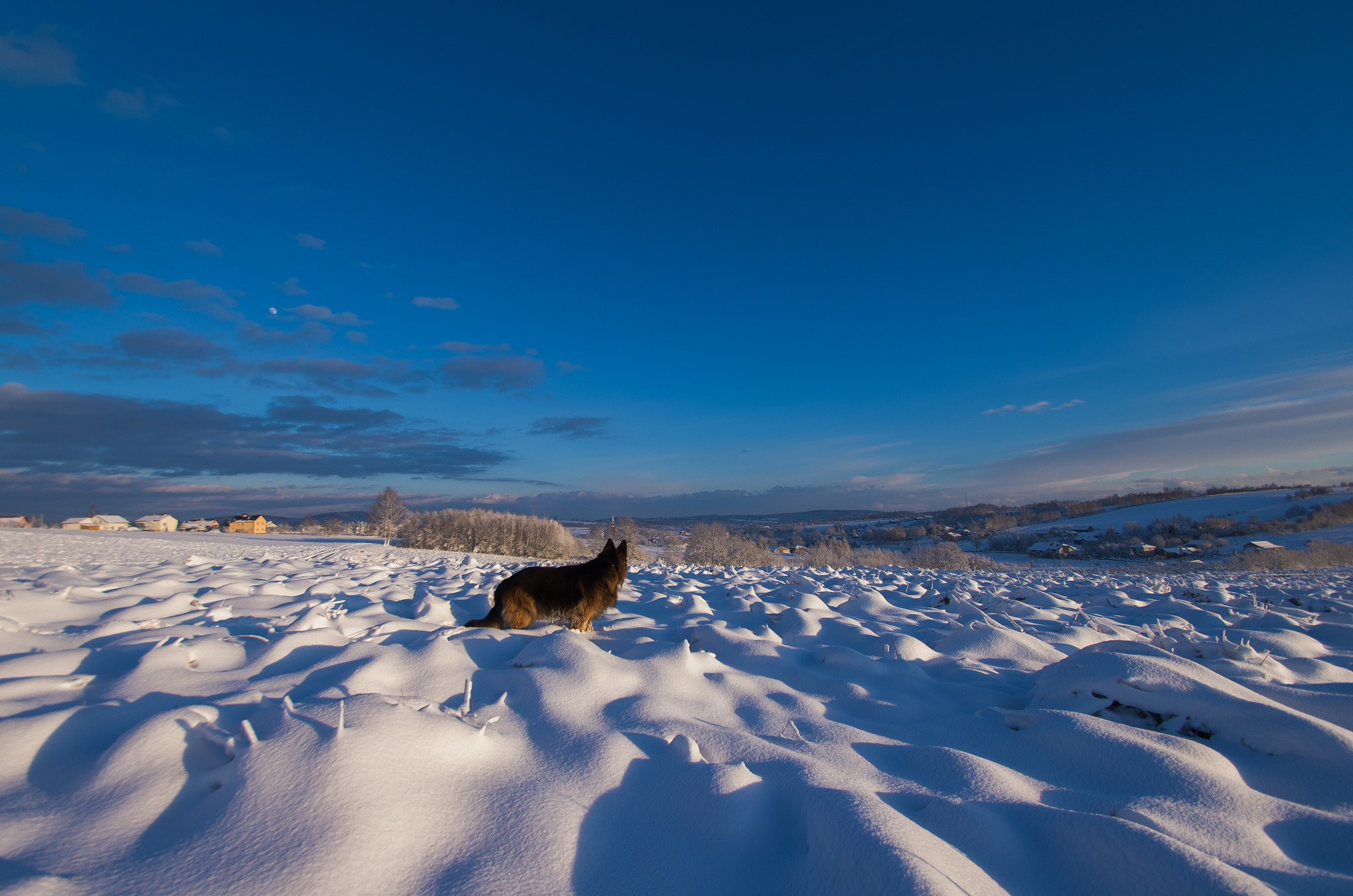 Pentax K-5 II sample photo. Winter photography