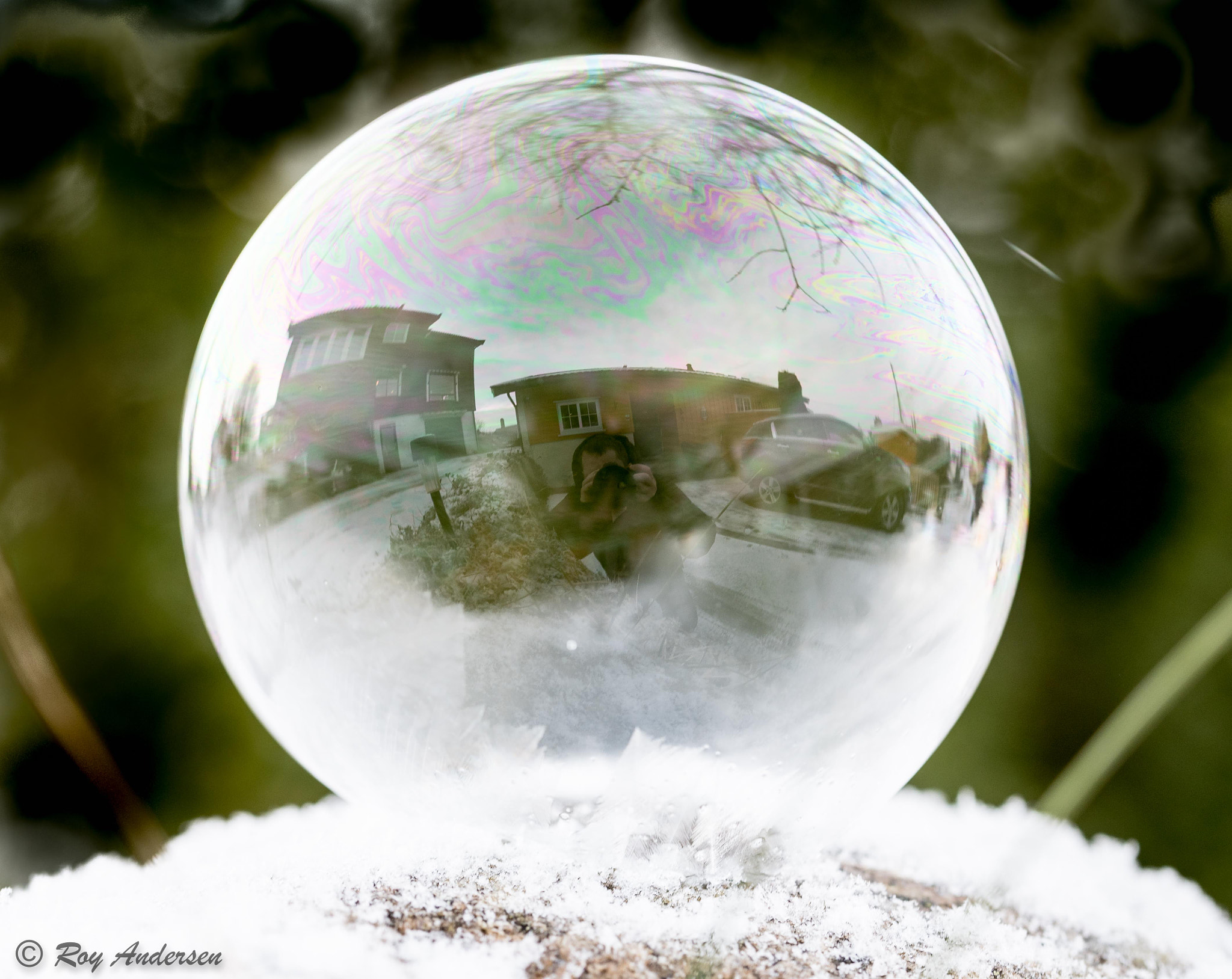 Nikon D750 sample photo. Frozen bubble-4 photography