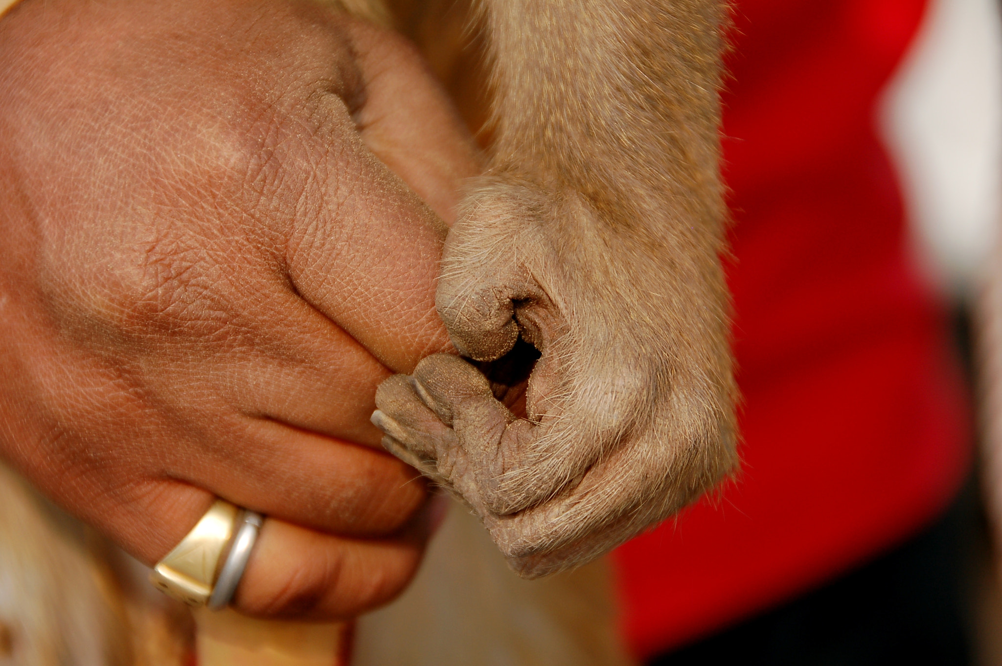 Nikon D50 sample photo. The bond photography