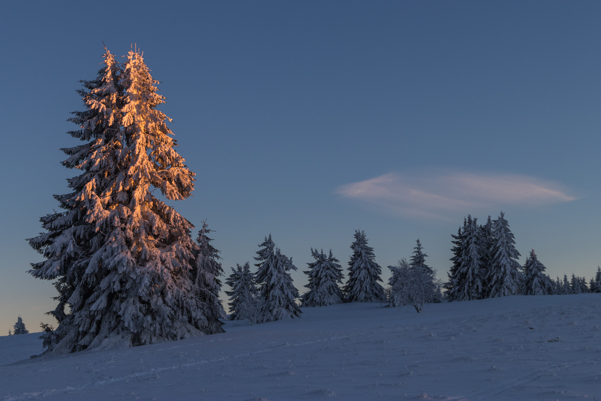 Canon EF 24-105mm F3.5-5.6 IS STM sample photo. Letztes abendlicht  photography
