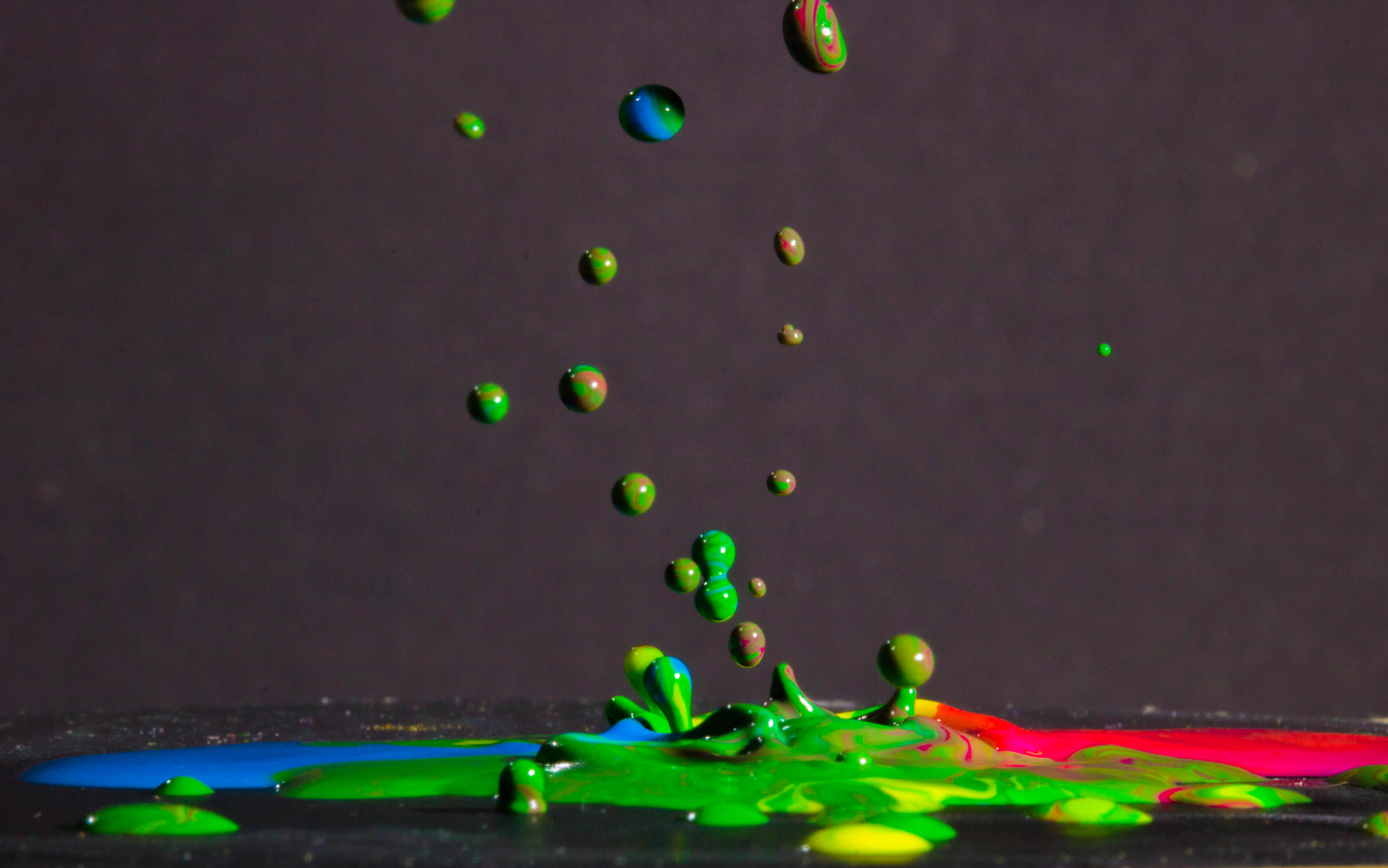 Canon EF 100mm F2.8 Macro USM sample photo. Color splash photography