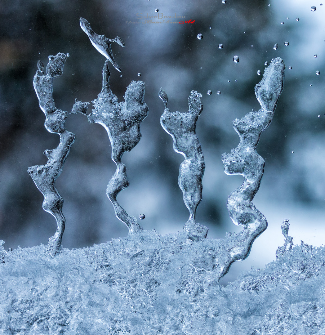 Pentax K-5 sample photo. Danseurs de glace (ice dancers) photography