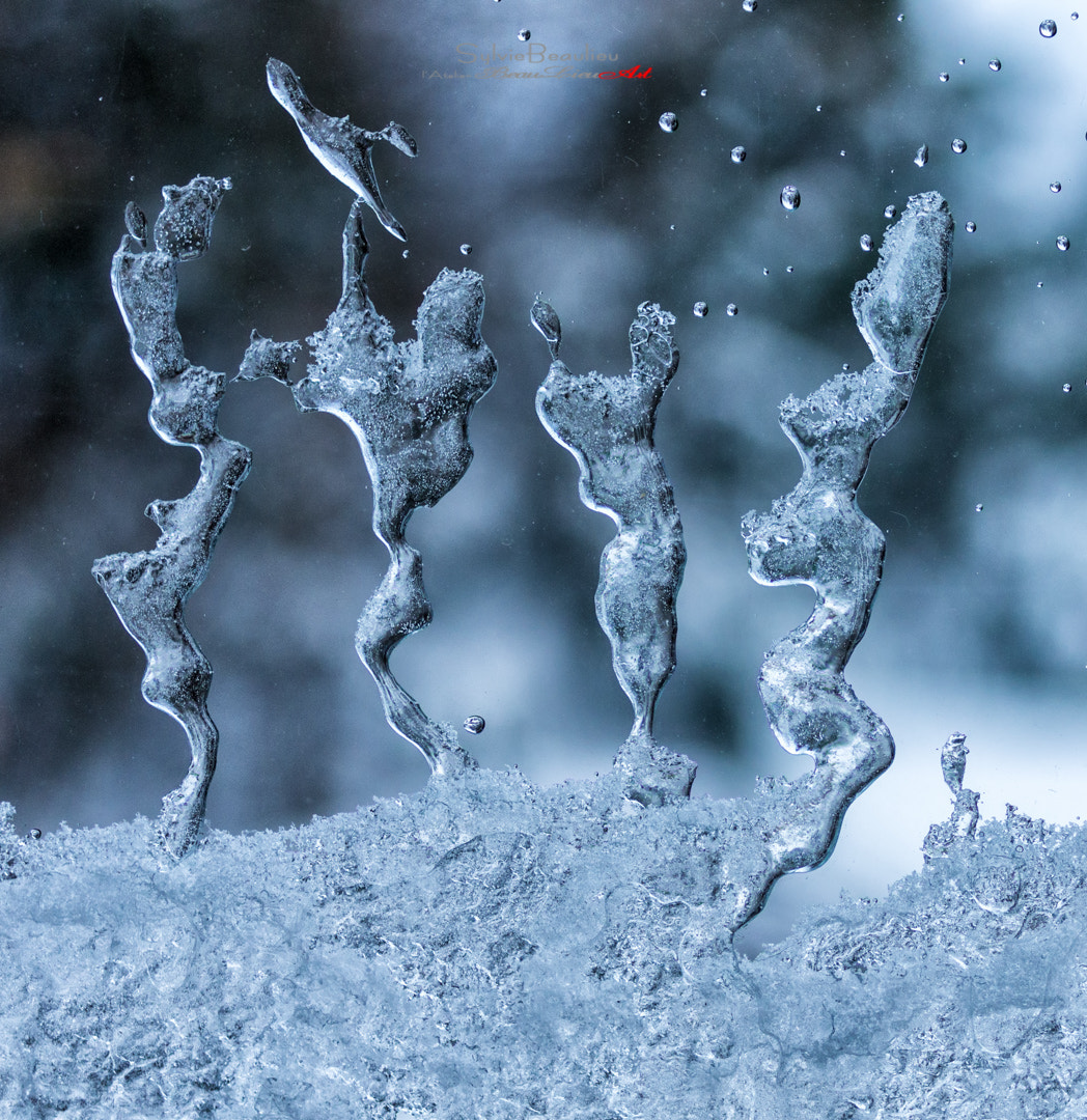 Pentax smc D-FA 50mm F2.8 Macro sample photo. Danseurs de glace (ice dancers) photography
