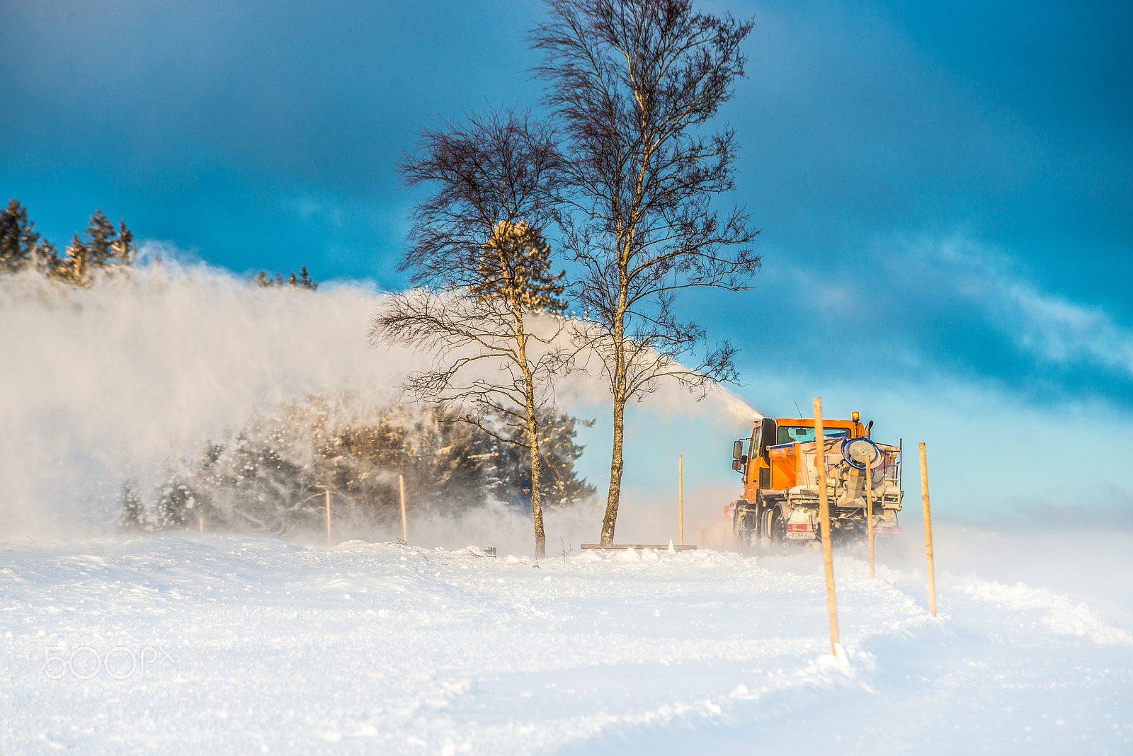 Nikon D800 sample photo. Against the snow photography
