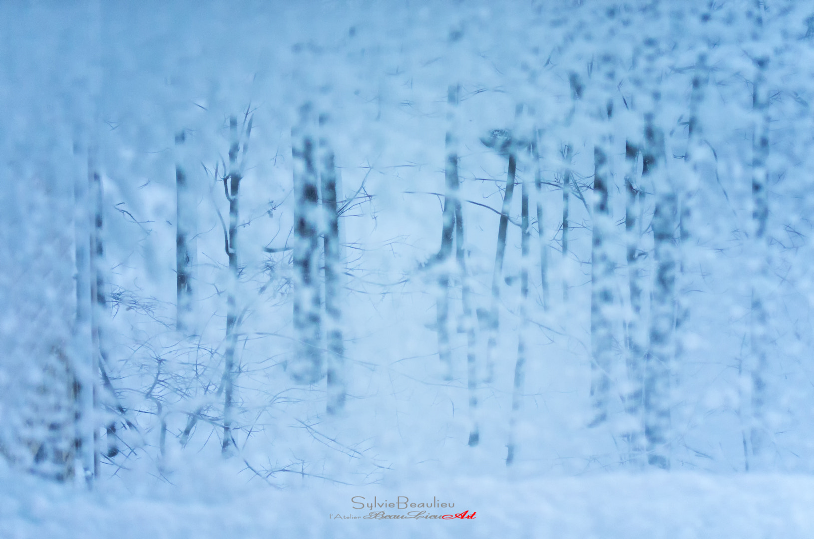 Pentax K-5 sample photo. Un pas vers l'hiver (a step in the winter) photography