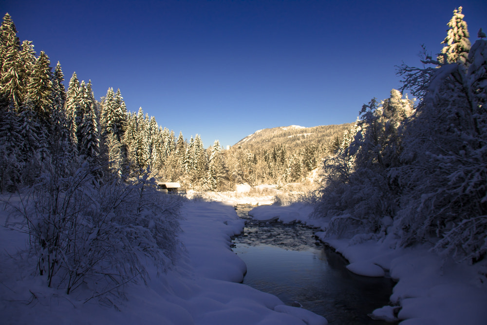 Canon EF 75-300mm F4.0-5.6 IS USM sample photo. Winterdreams photography