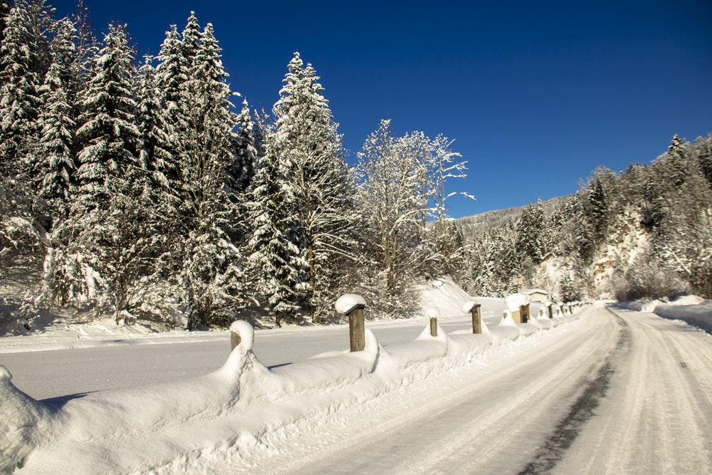 Canon EF 75-300mm F4.0-5.6 IS USM sample photo. Winter photography