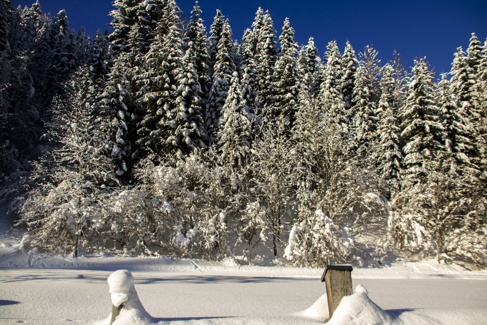 Canon EF 75-300mm F4.0-5.6 IS USM sample photo. Snow photography