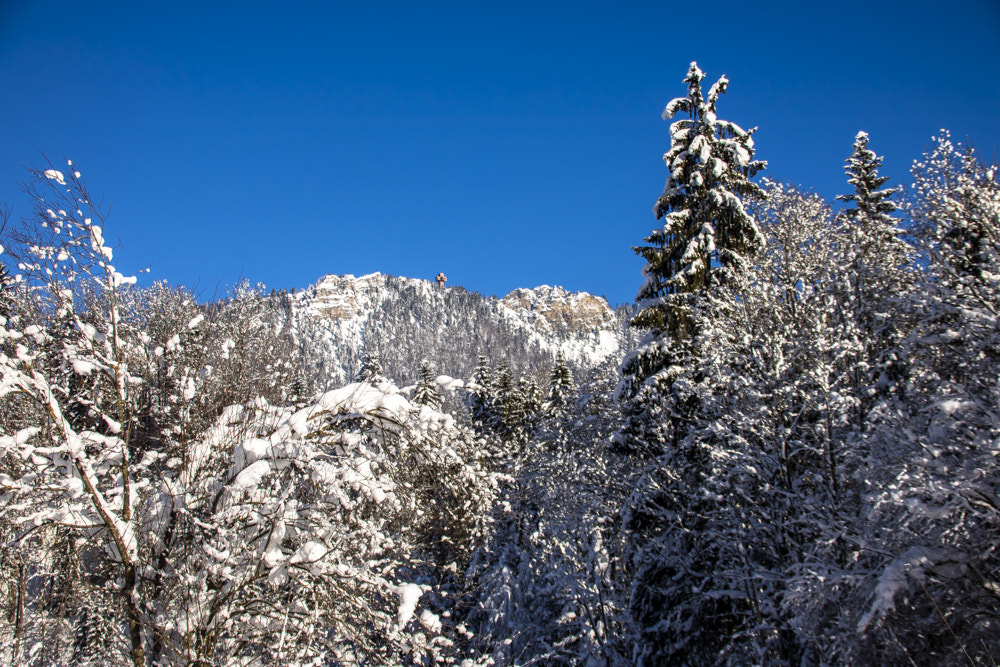 Canon EF 75-300mm F4.0-5.6 IS USM sample photo. The cross of buchensteinwand photography