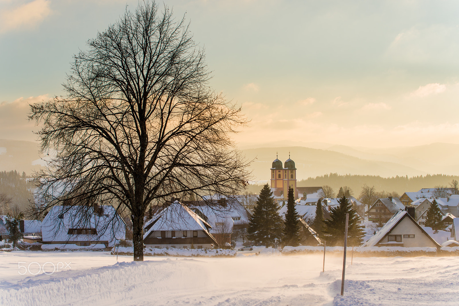 Nikon D800 sample photo. Sun and snow photography