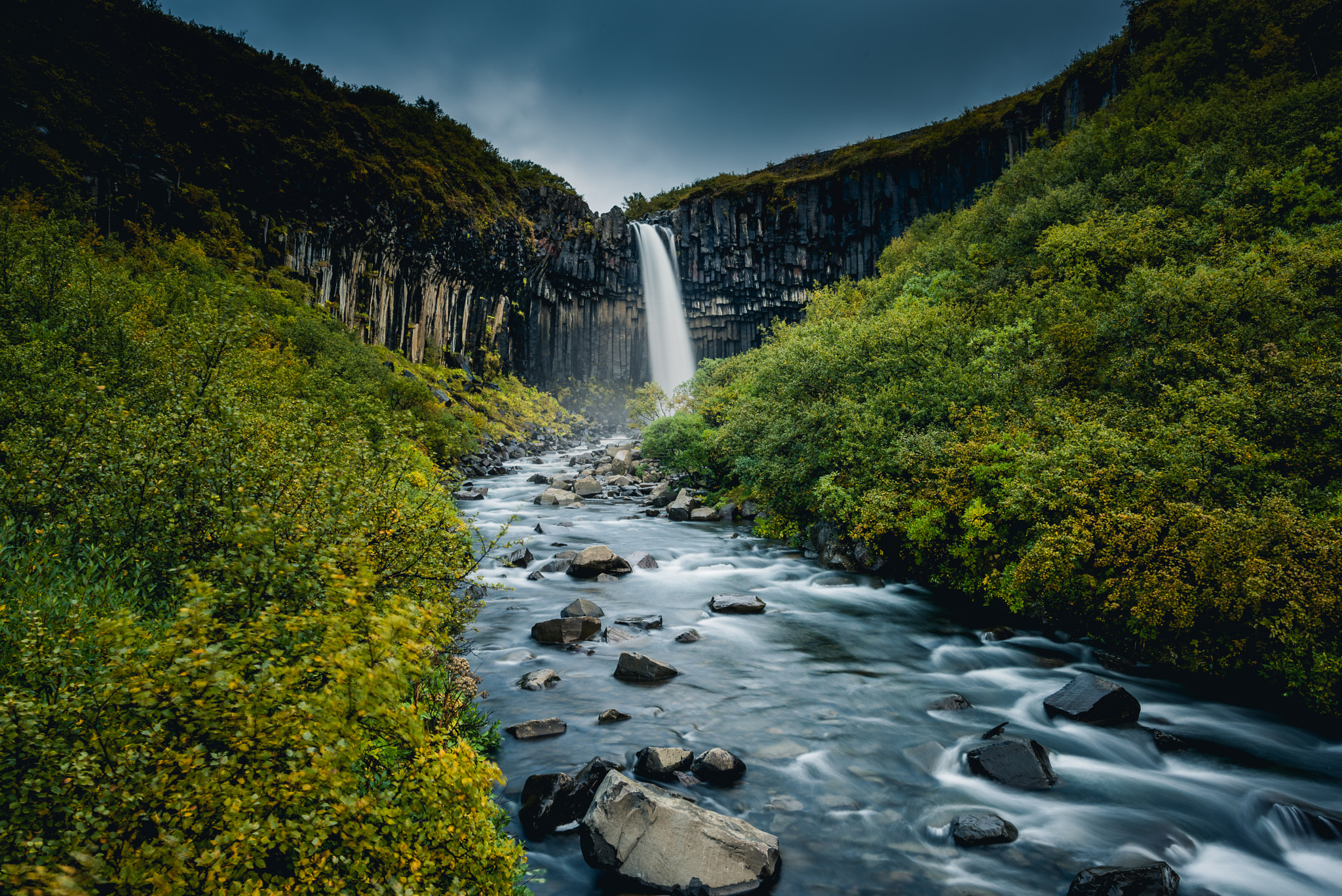 Nikon D810 + Nikon AF-S Nikkor 24mm F1.4G ED sample photo. Black fall photography