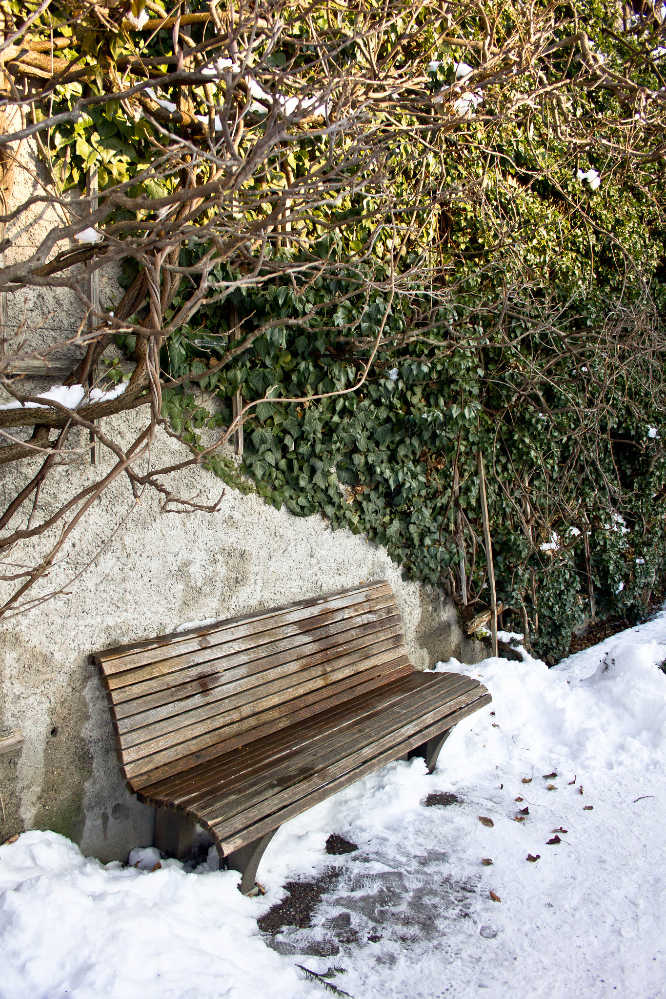 Canon EF-S 18-55mm F3.5-5.6 II sample photo. Winter sun photography