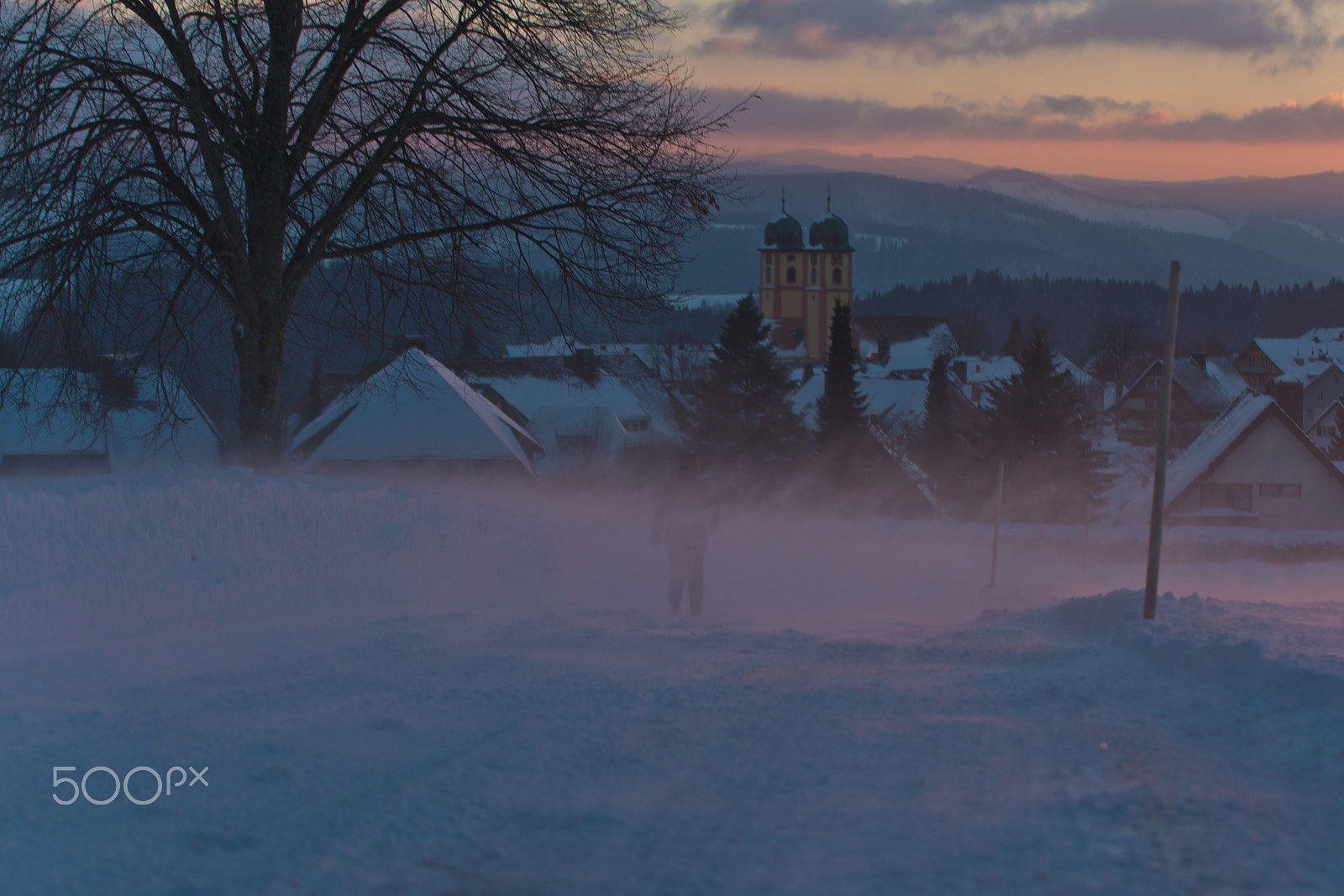 Nikon D800 sample photo. Cold walk photography