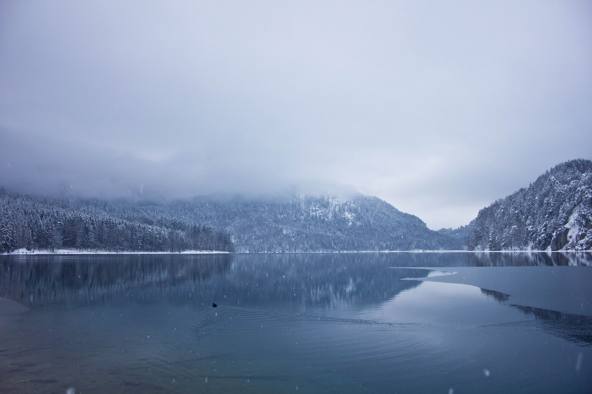 Canon EOS 550D (EOS Rebel T2i / EOS Kiss X4) sample photo. Winter lake photography