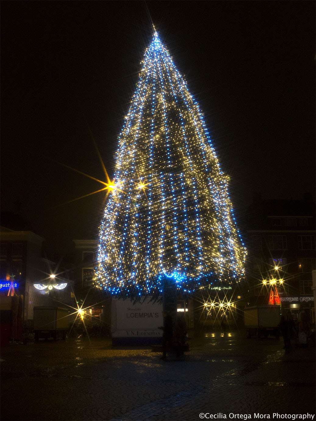 Canon EOS 600D (Rebel EOS T3i / EOS Kiss X5) + Canon EF 24-70mm F2.8L USM sample photo. Christmas lights photography