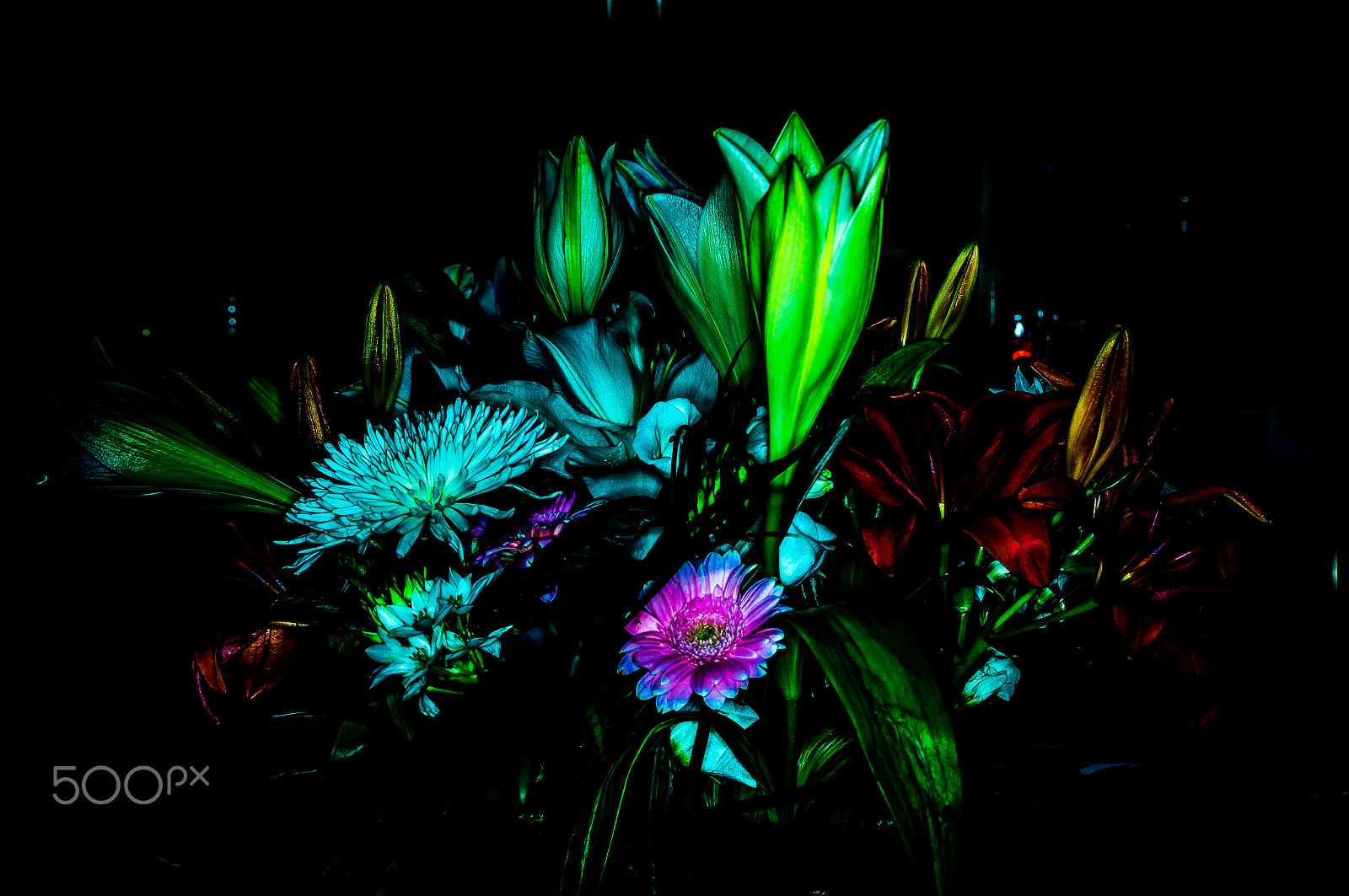 Sony SLT-A57 sample photo. Floral ! photography