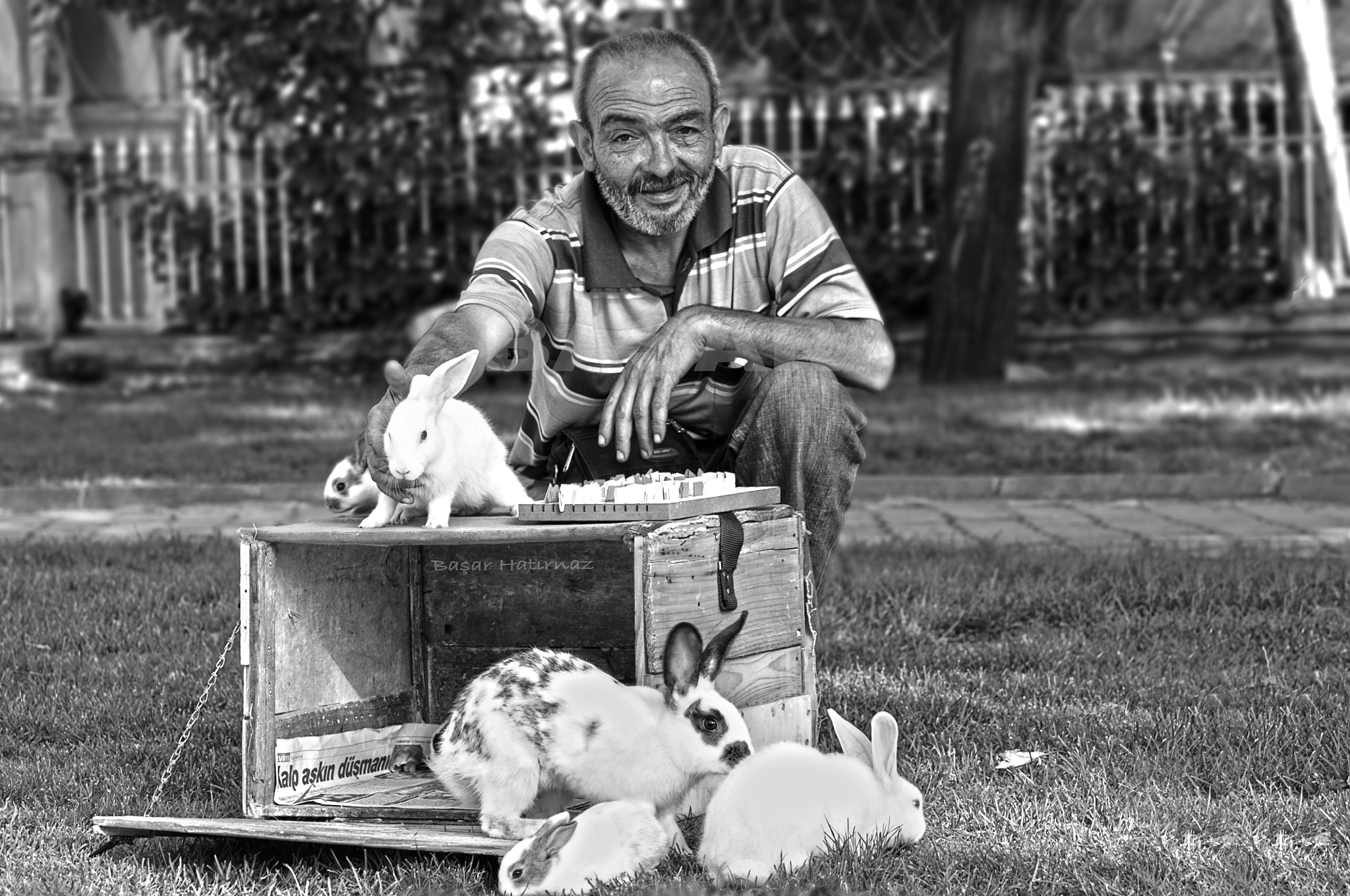 Nikon D300 sample photo. Fortune tellers photography