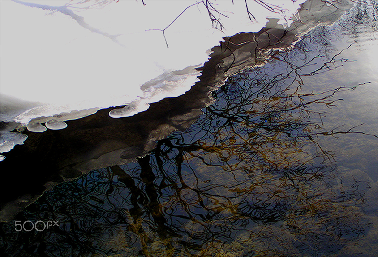 Olympus C730UZ sample photo. Winter reflection photography