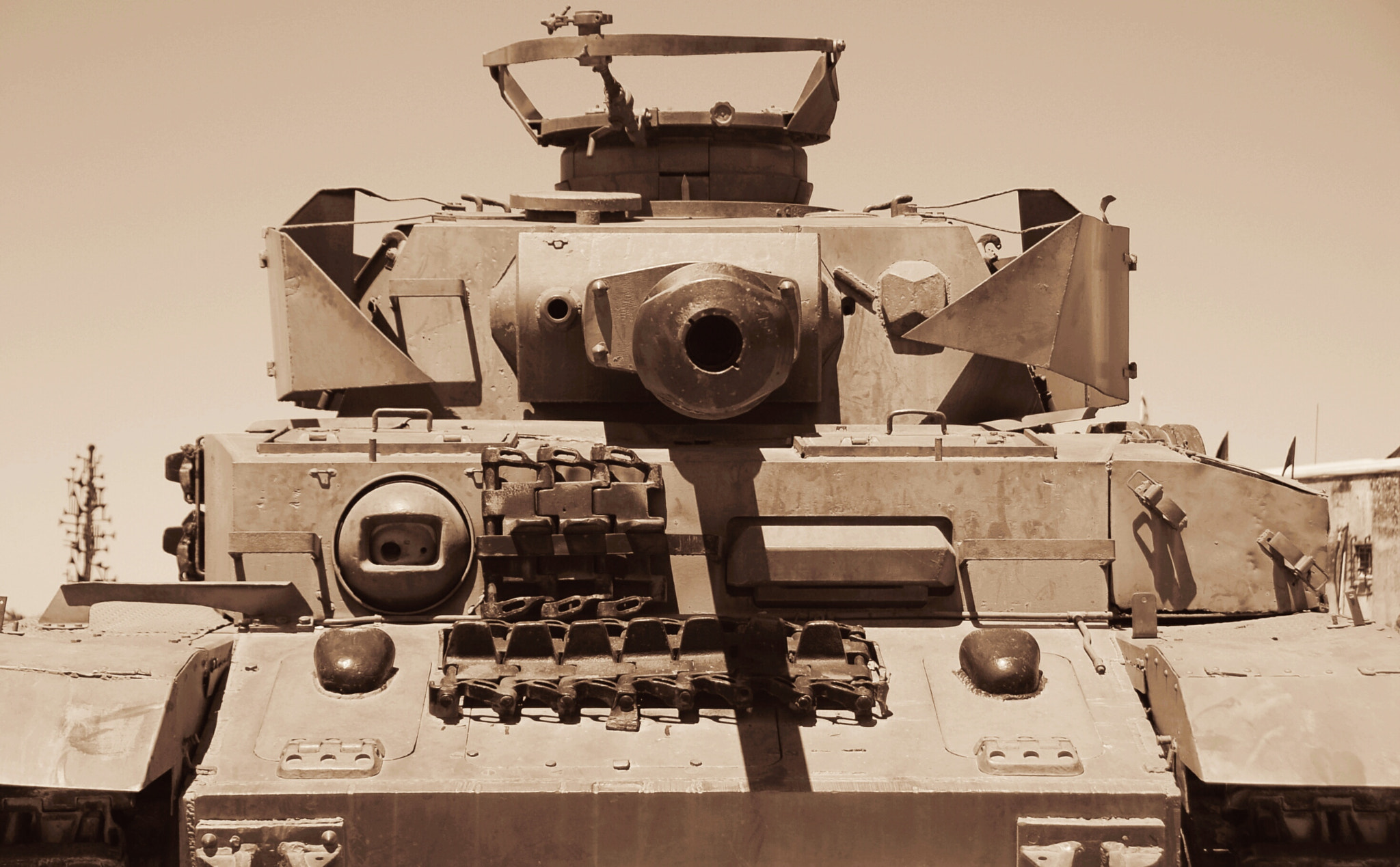 Nikon D50 sample photo. Eye of a tiger photography