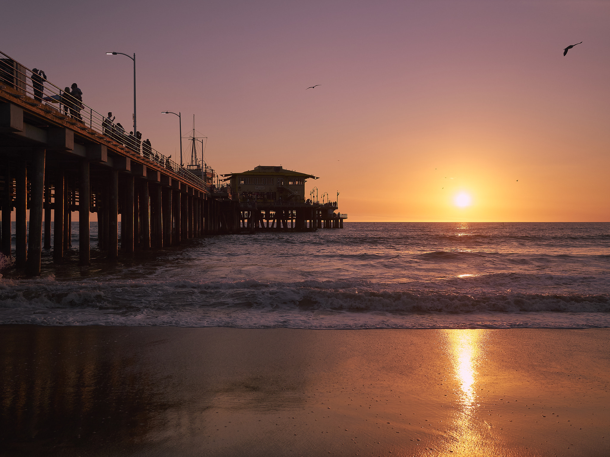 Panasonic Lumix G 20mm F1.7 ASPH sample photo. Santa monica pier photography